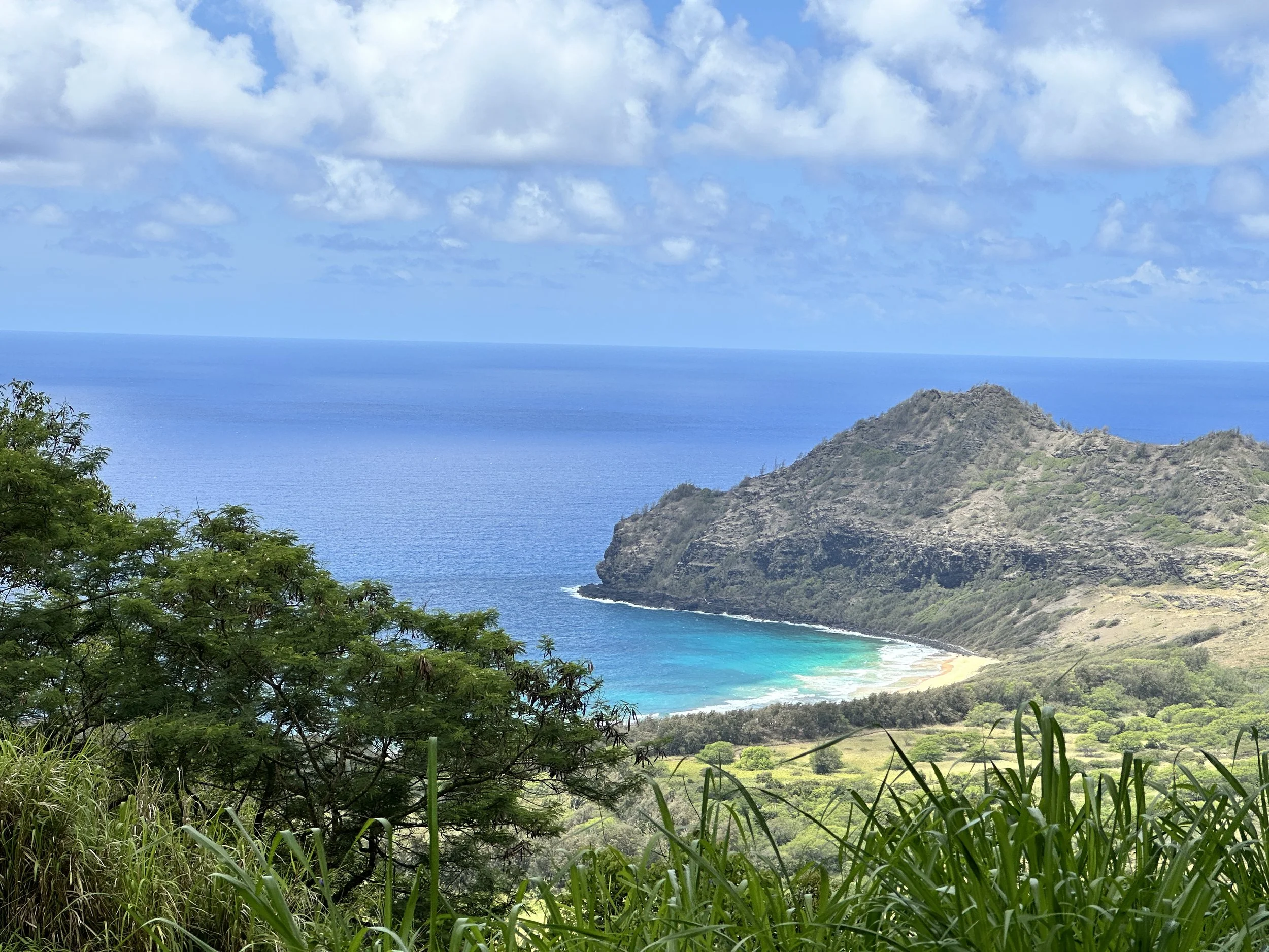 A scenic view of the ocean with blue water, a rocky hillside, and a cloudy sky with patches of blue, surrounded by lush green foliage and trees.