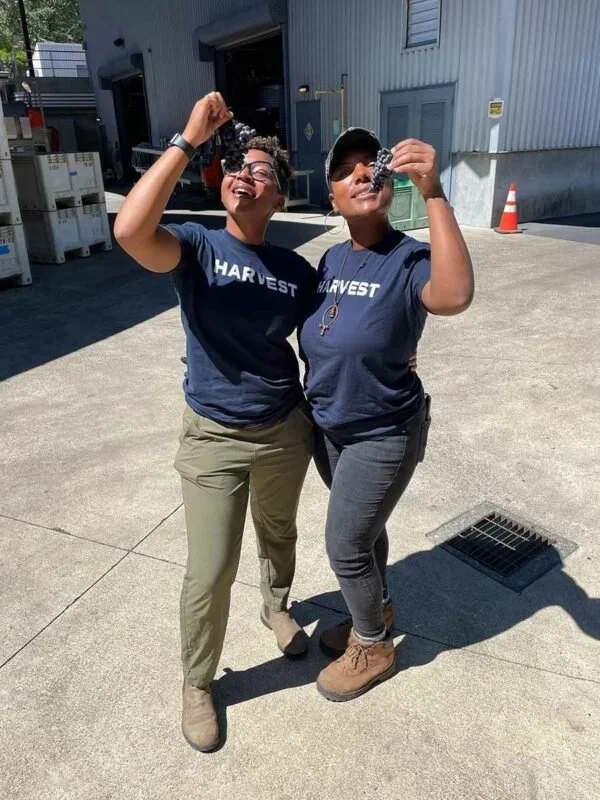 The Veraison Project Apprenticeship