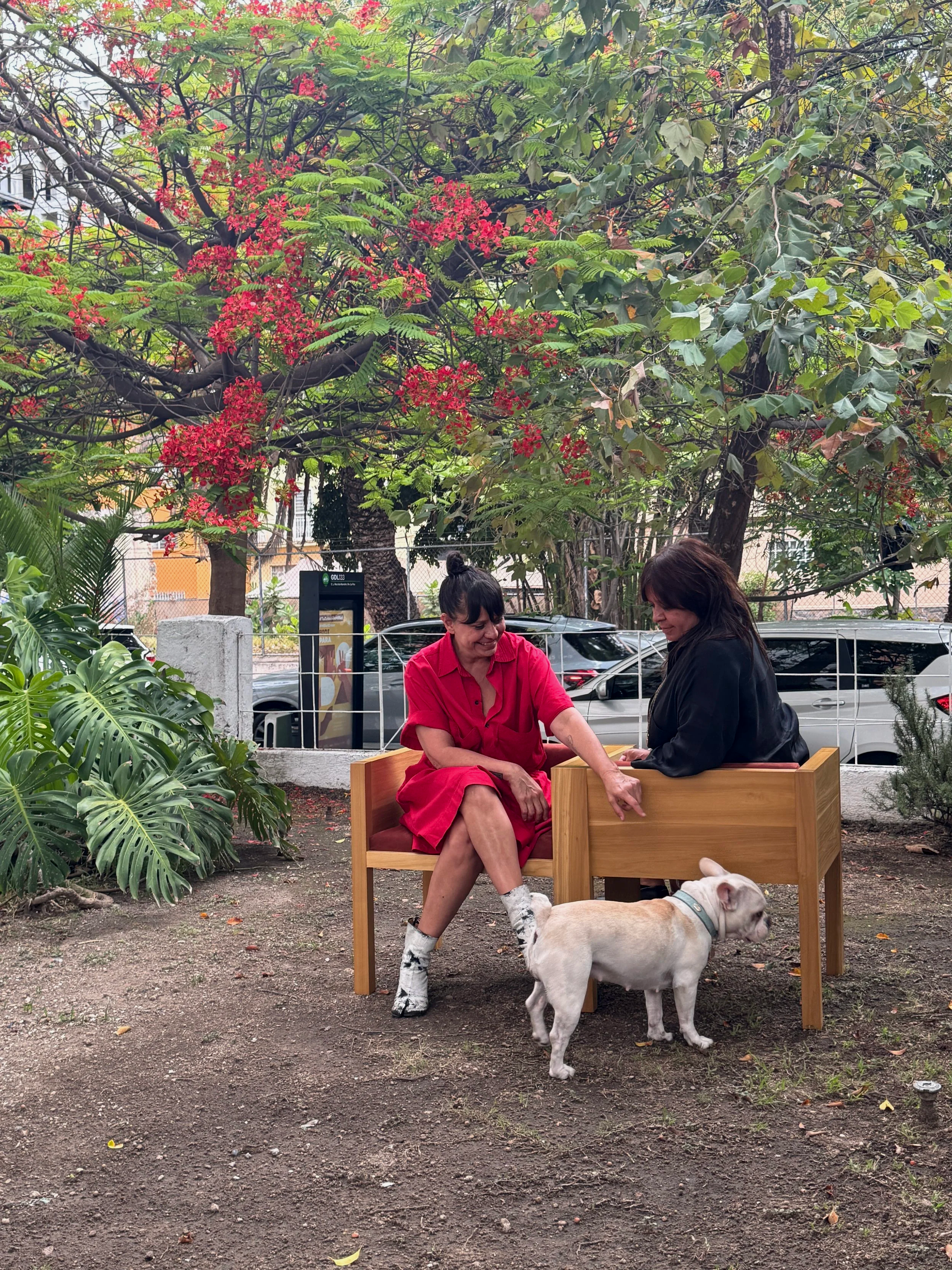 Dos mujeres Julia y Renata sentadas en una banca de madera Yo-Tú de Nada Taller en un parque una con blusa roja y la otra con chaqueta negra acompañadas de un perro bulldog blanco. Al fondo, hay árboles con hojas verdes y flores rojas.