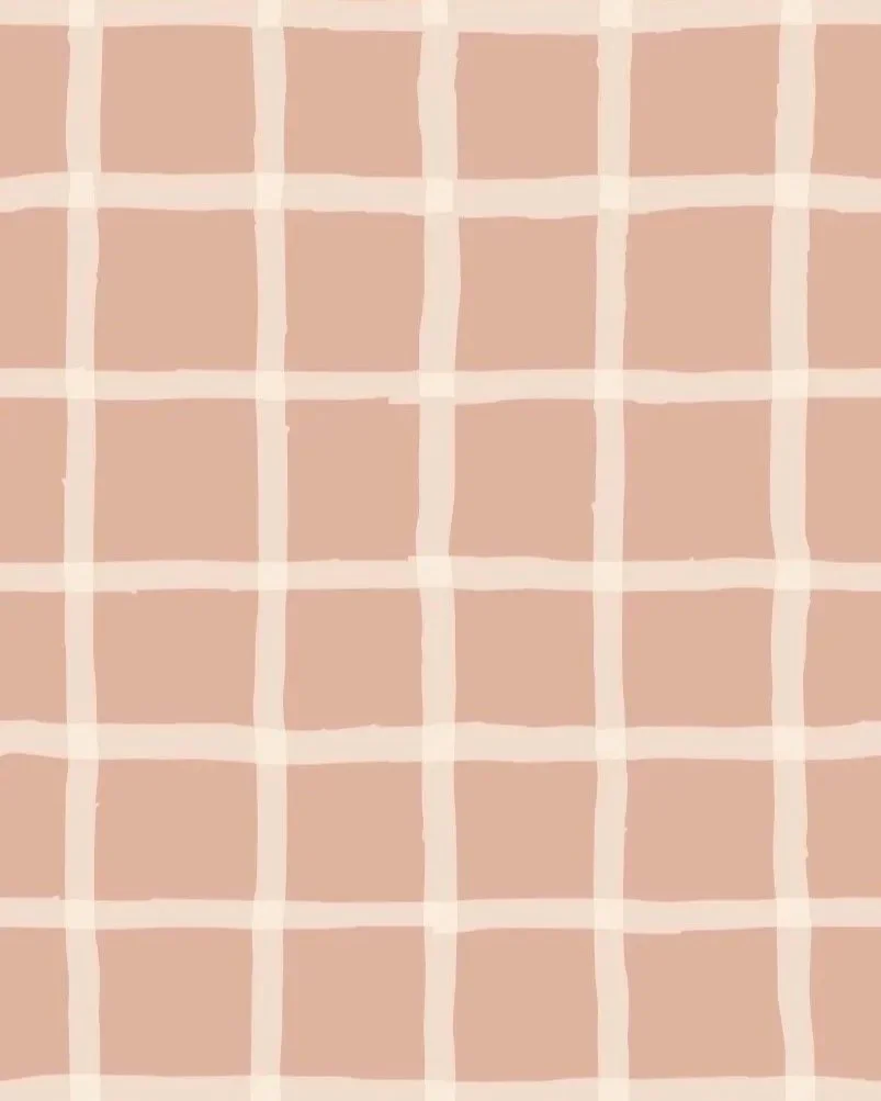 Small%2BPink%2BPlaid.jpg