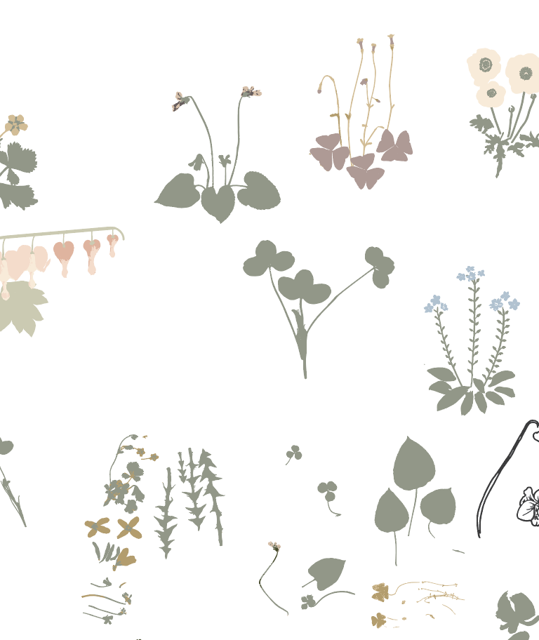 Pattern of various botanical illustrations, including different flowers and leaves, in muted pastel colors on a white background Emily Maria Studios