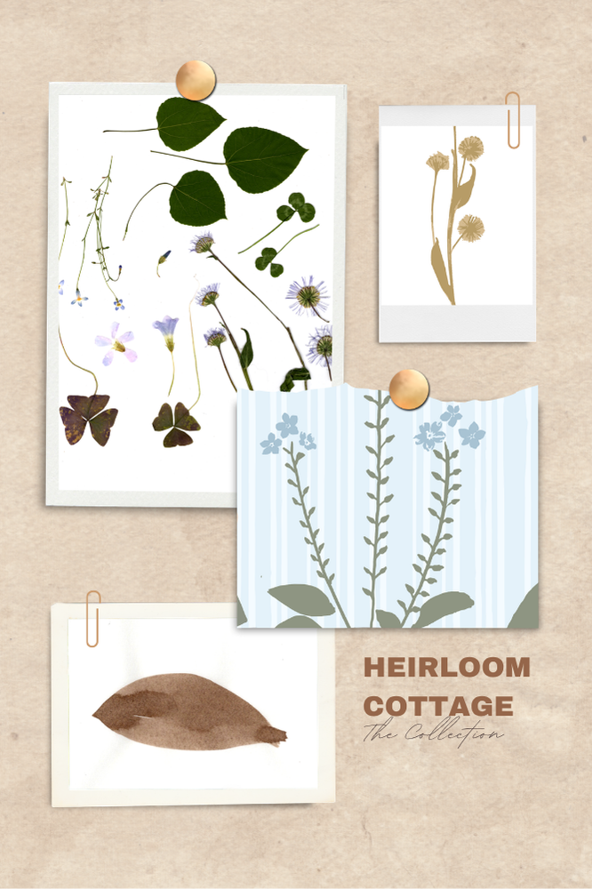Original hand-drawn surface pattern design by Emily Maria Studios