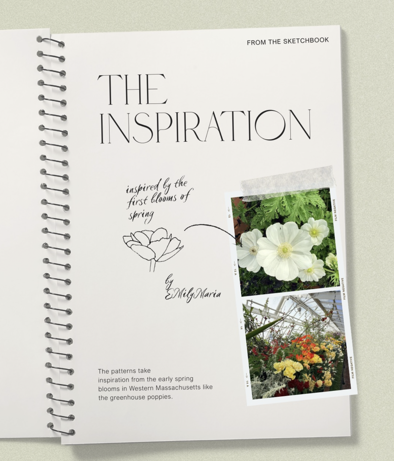 Surface pattern design process — sketchbook and pressed botanicals by Emily Maria Studios