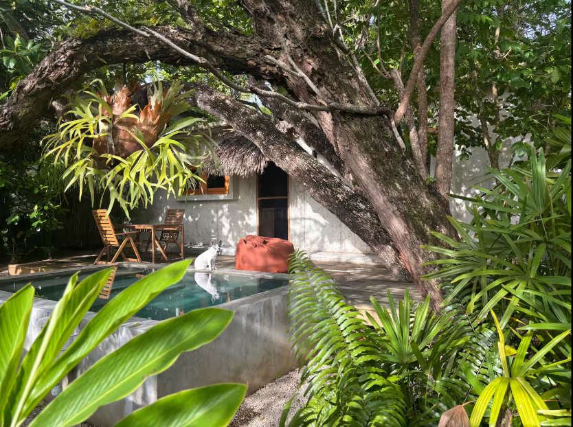 LACASITA--005 (1).png