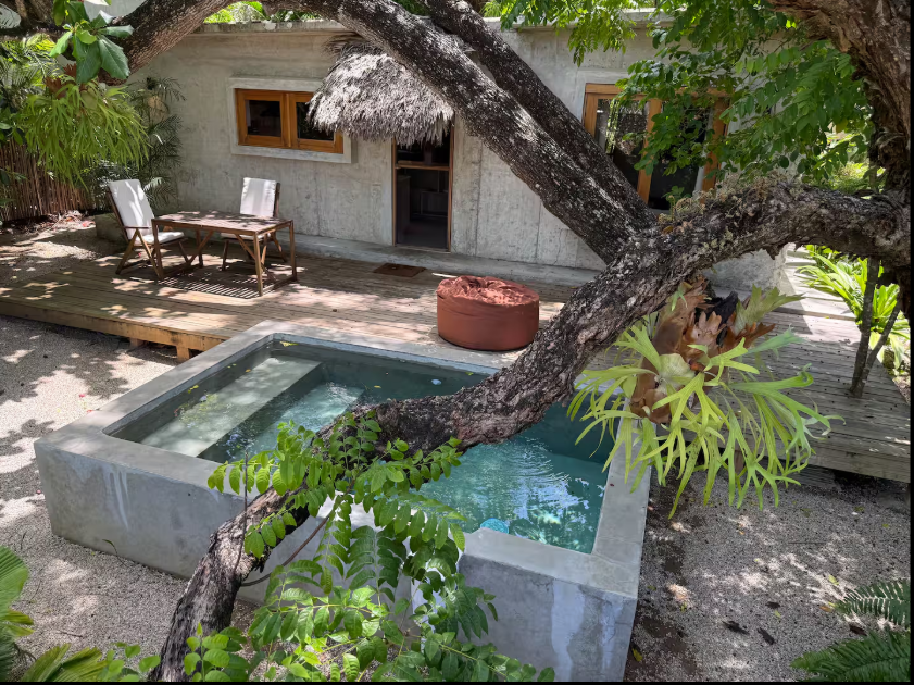 A backyard scene featuring a small pool with clear water, a wooden deck with outdoor furniture, and a thatched-roof hut behind the house. A large tree with expansive branches and green leaves extends over the pool, providing shade. The yard is surrounded by lush greenery.