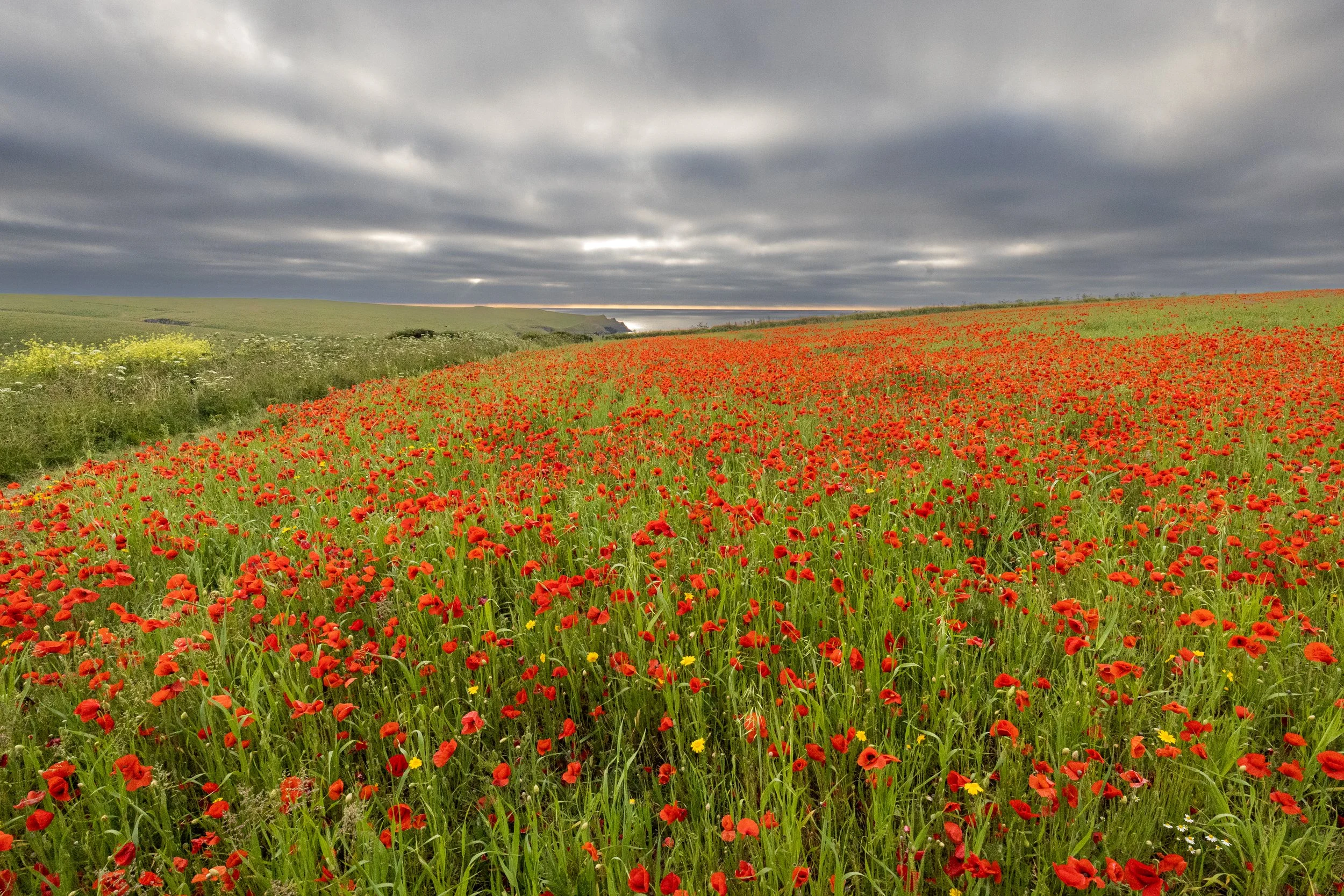 Five Lessons Cornwall Has Taught Me About Creativity
