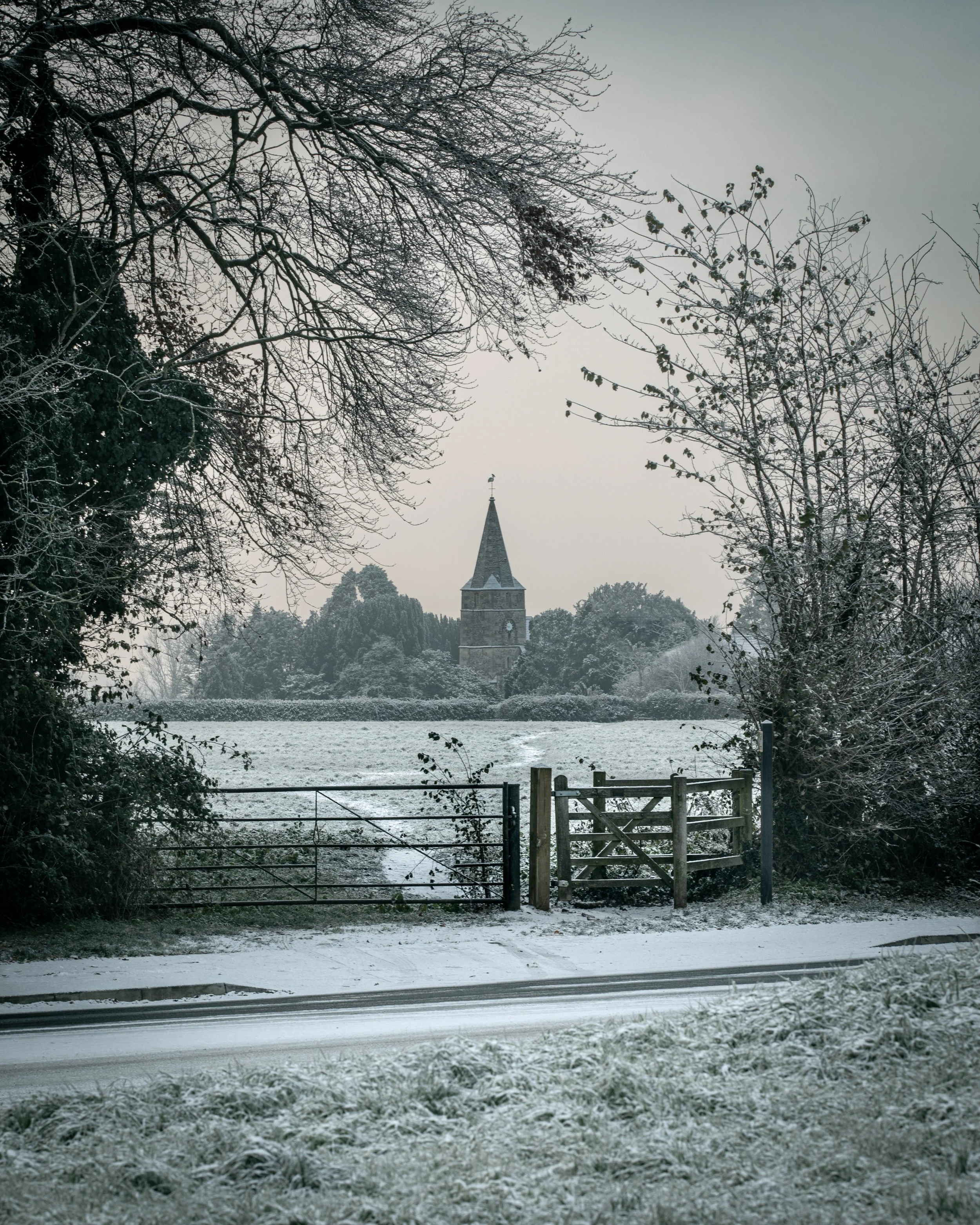 A snowy landscape with a church steeple in the background, framed by bare trees and a wooden fence in the foreground.