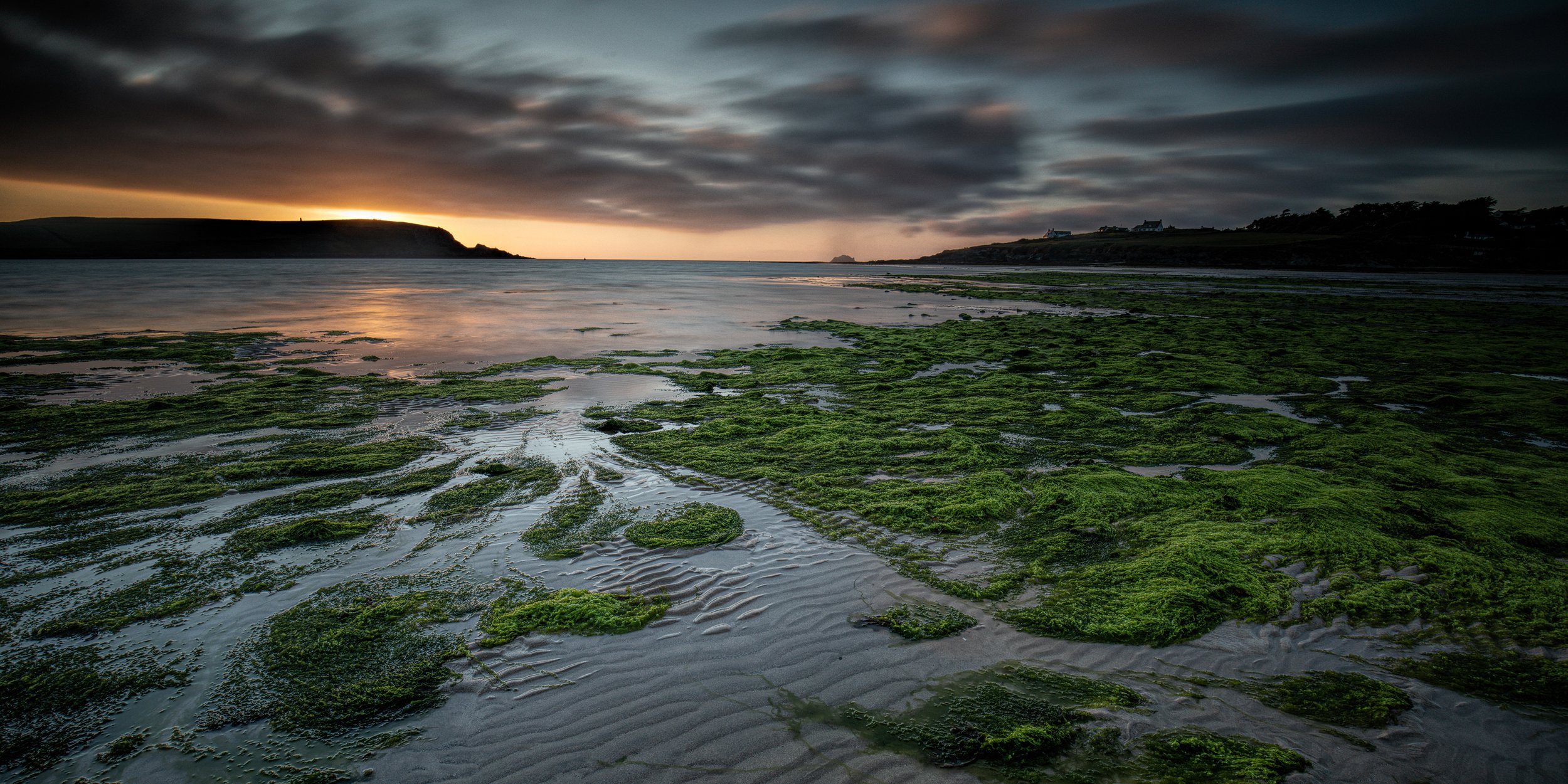 A scenic view of the beach at Daymer Bay, Cornwall, at sunset with dark clouds, green moss on the sand, and distant hills.