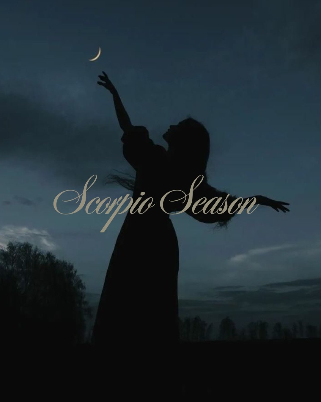 🦂 SCORPIO SEASON IS HERE 🖤

Welcome to the underworld, loves.

Scorpio season invites us to turn inward, get curious about our shadows, and explore the parts of ourselves we don&rsquo;t always let the world see.

This season carries a different kin