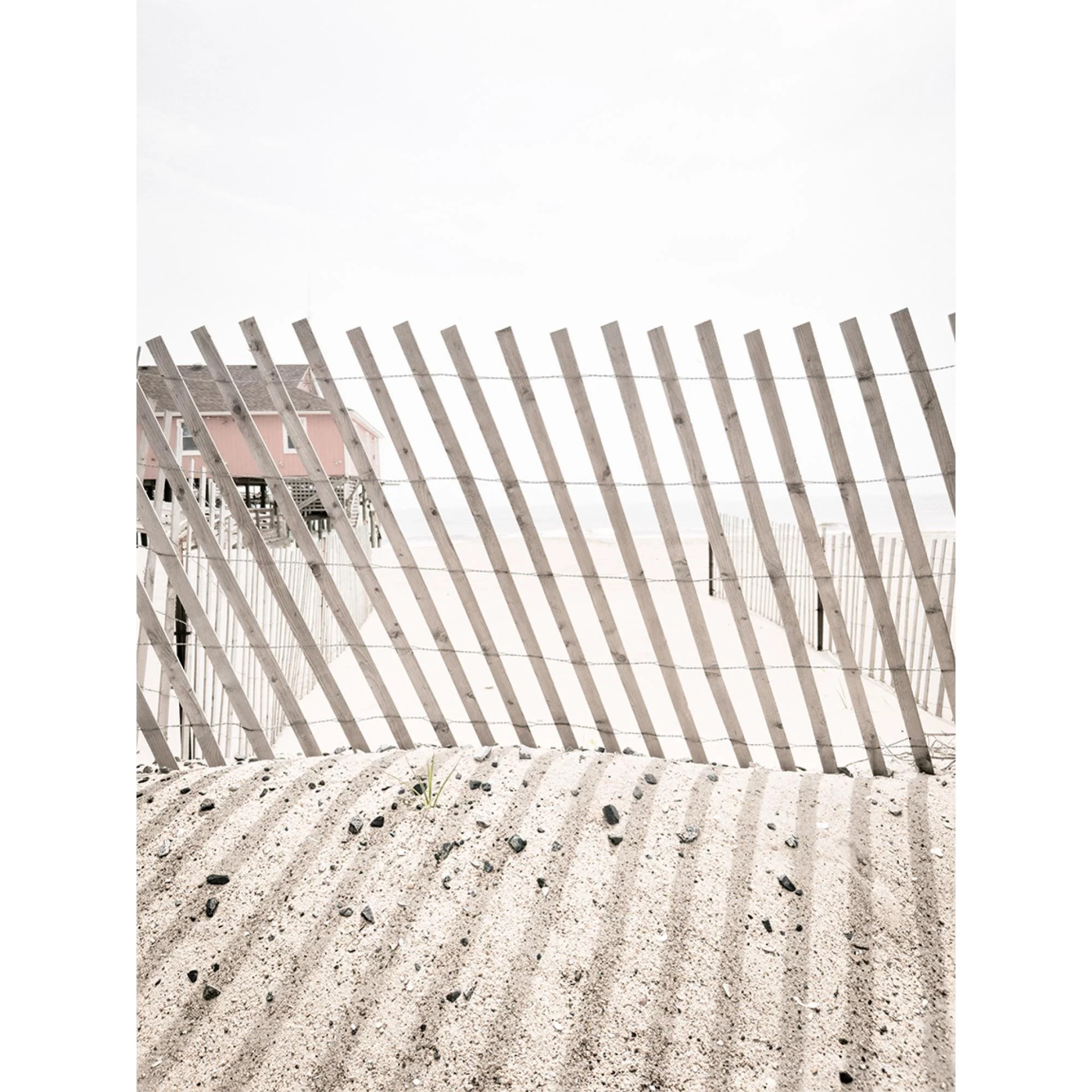 "Lines in the Sand" - Azalea Art Show 2026