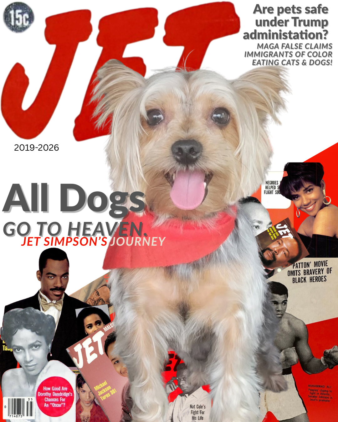 Custom tribute celebrating the life and personality of a beloved family pet through storytelling and design.