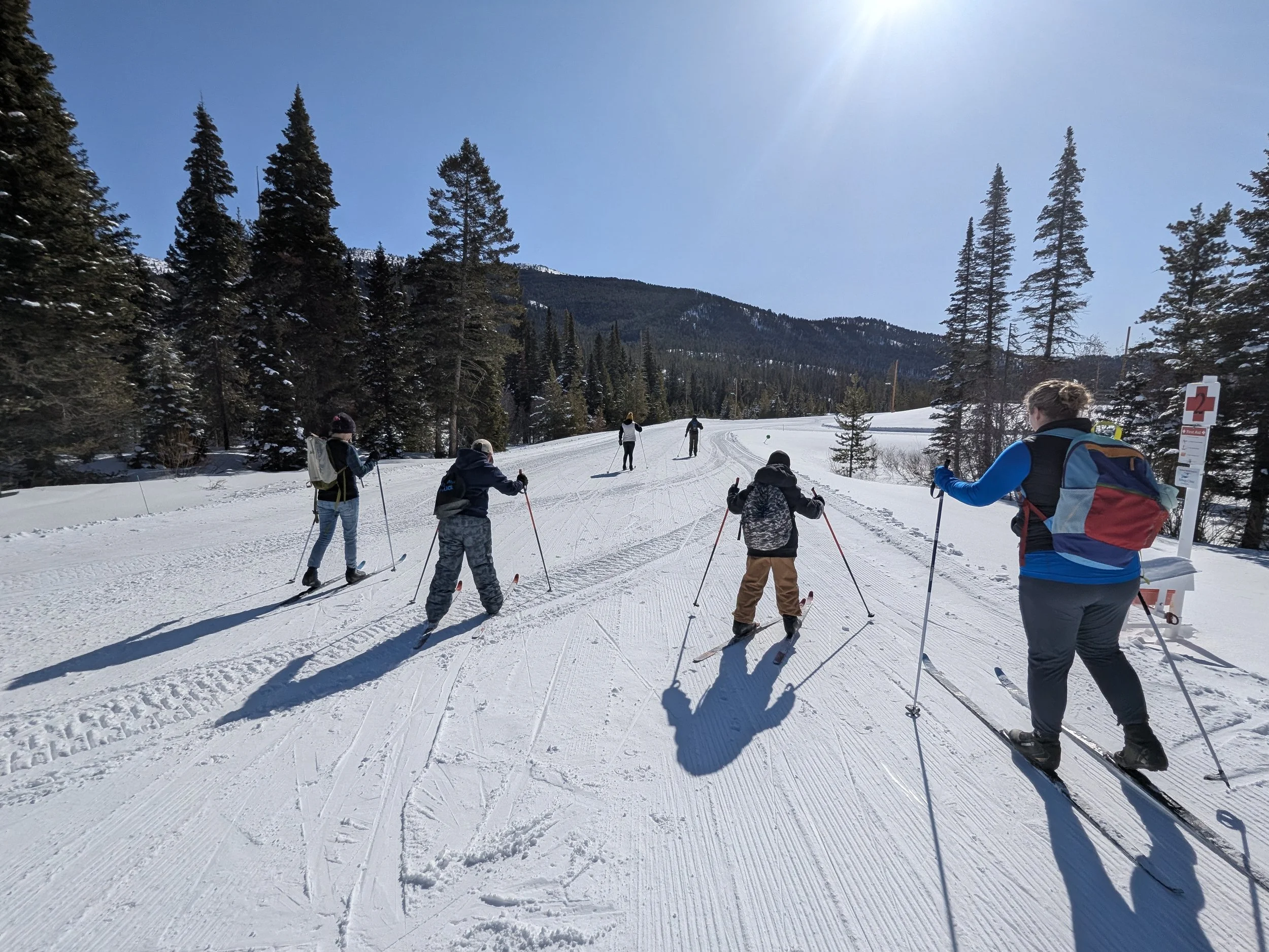 Group of people cross-country skiing on snowy trail surrounded by evergreen trees, with mountain range in background and bright blue sky.
