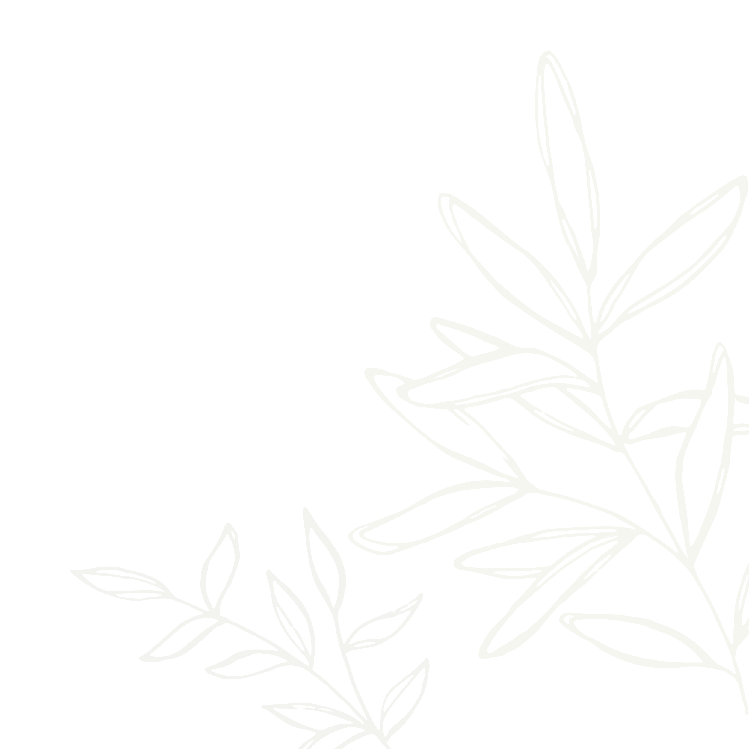Outline illustration of a flowering plant