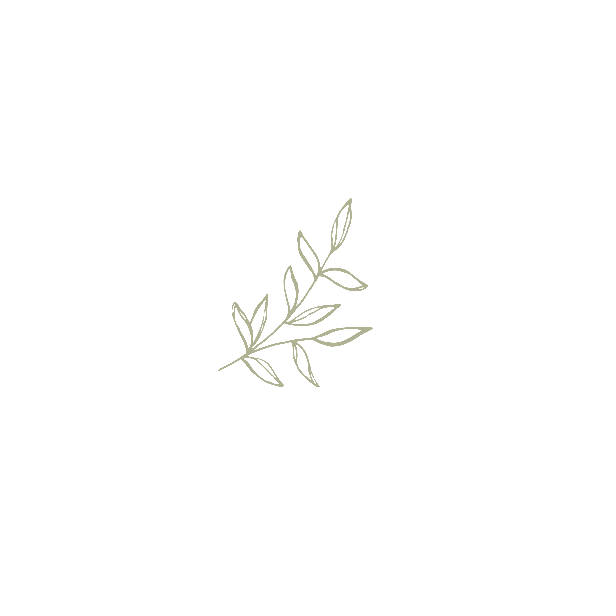 A minimalist line drawing of a leafy branch on a black background.