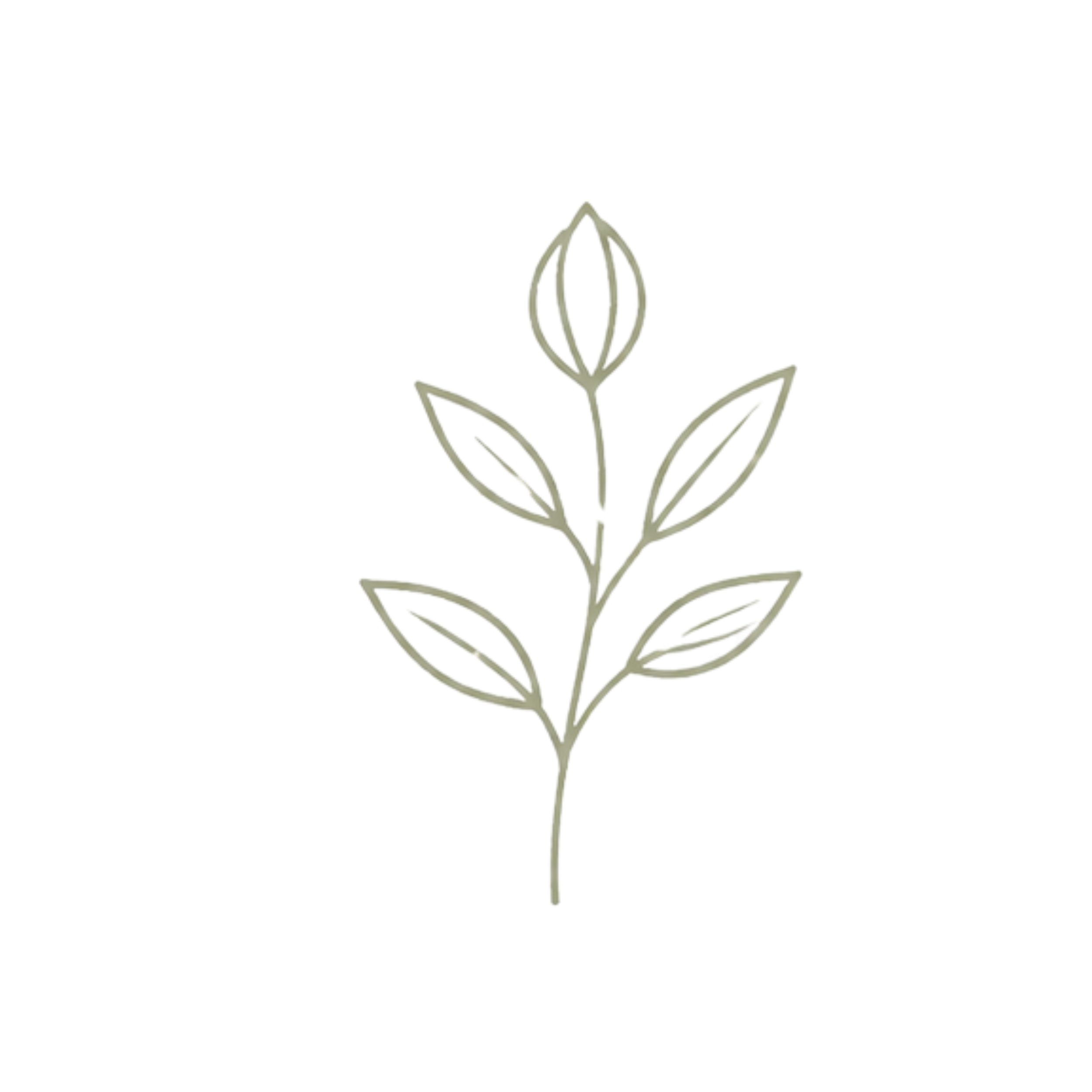 A simple line drawing of a plant with a single stem, several leaves, and a closed flower bud at the top.