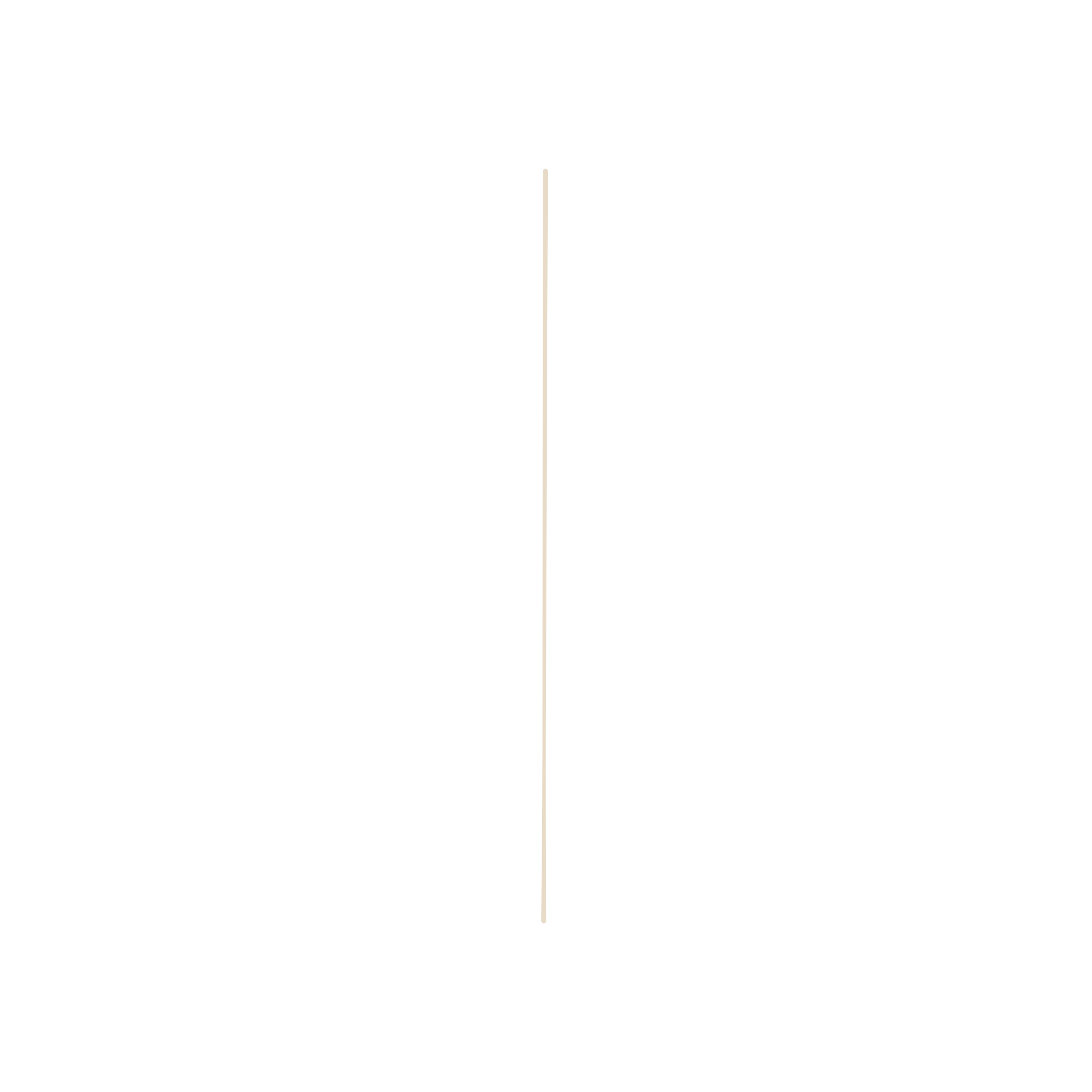 A black screen with a vertical beige line in the middle, dividing the screen into two equal parts.