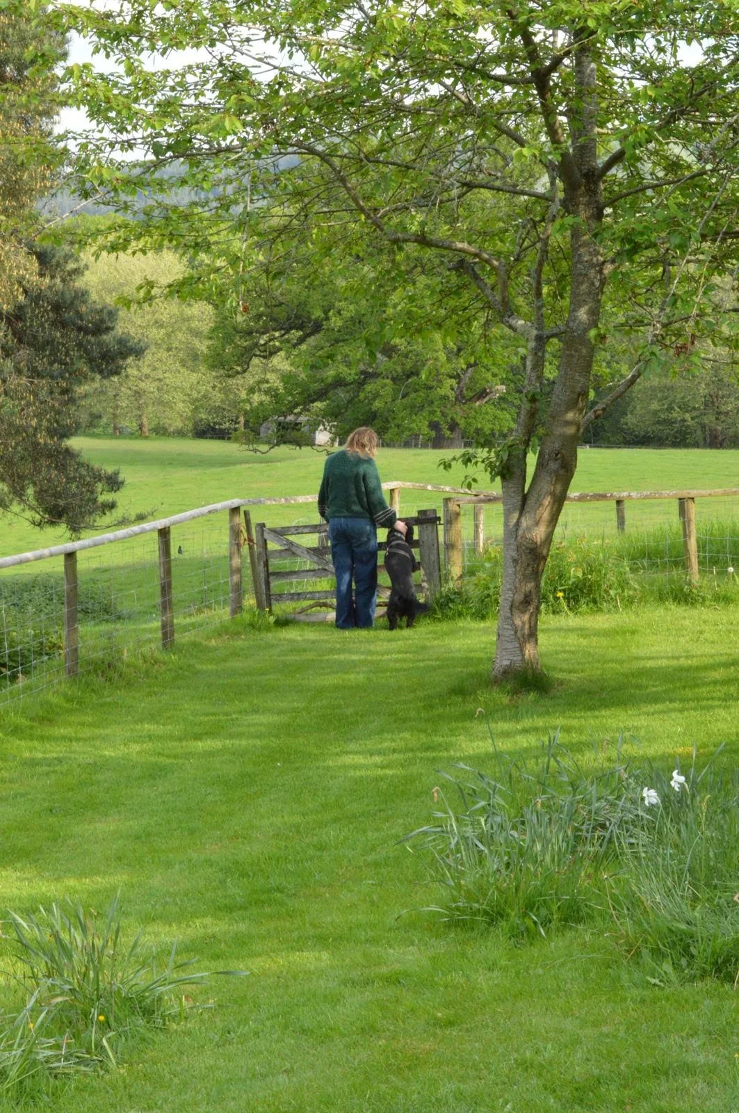 A woman wearing a green sweater and blue jeans, standing in a grassy garden with a black dog on a leash, near a wooden gate. There are trees and a fence surrounding the garden, with a heading into a field.