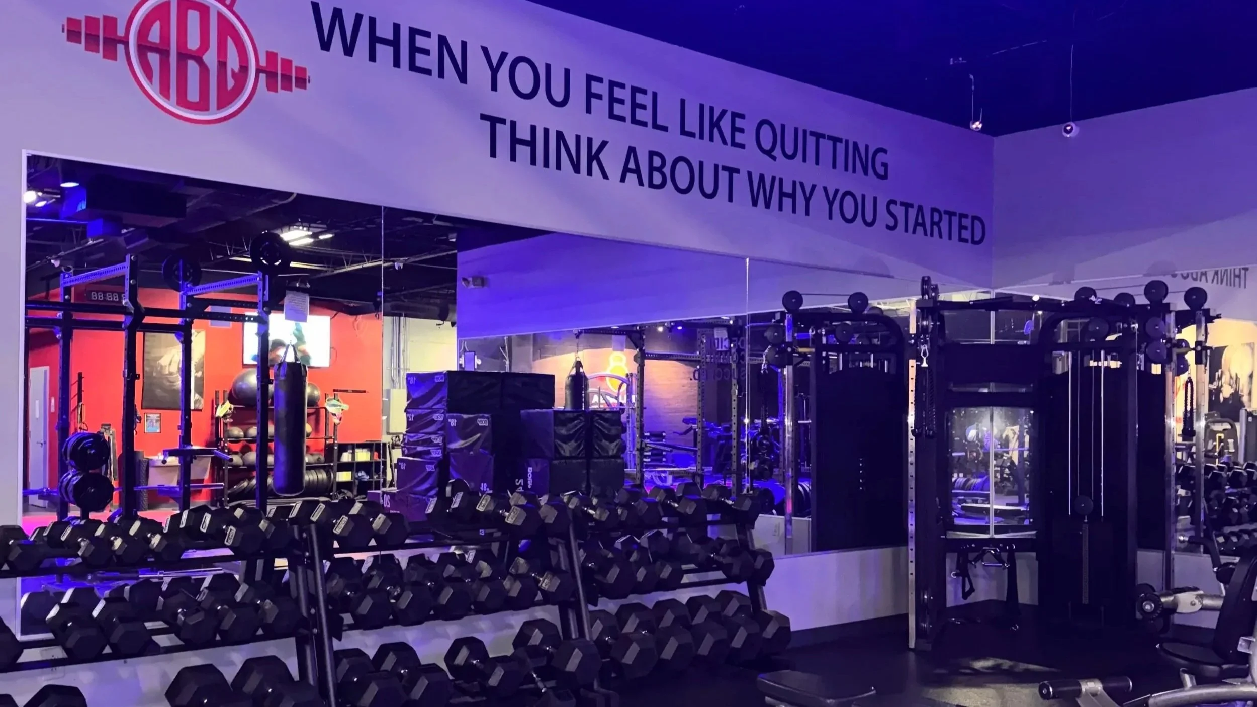 Absolute Fitness