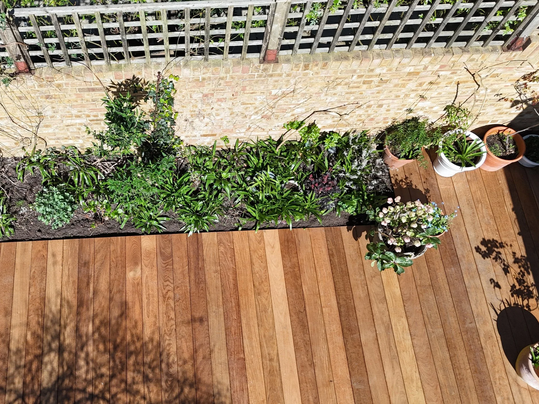 Hardwood Decking in Chiswick London.png
