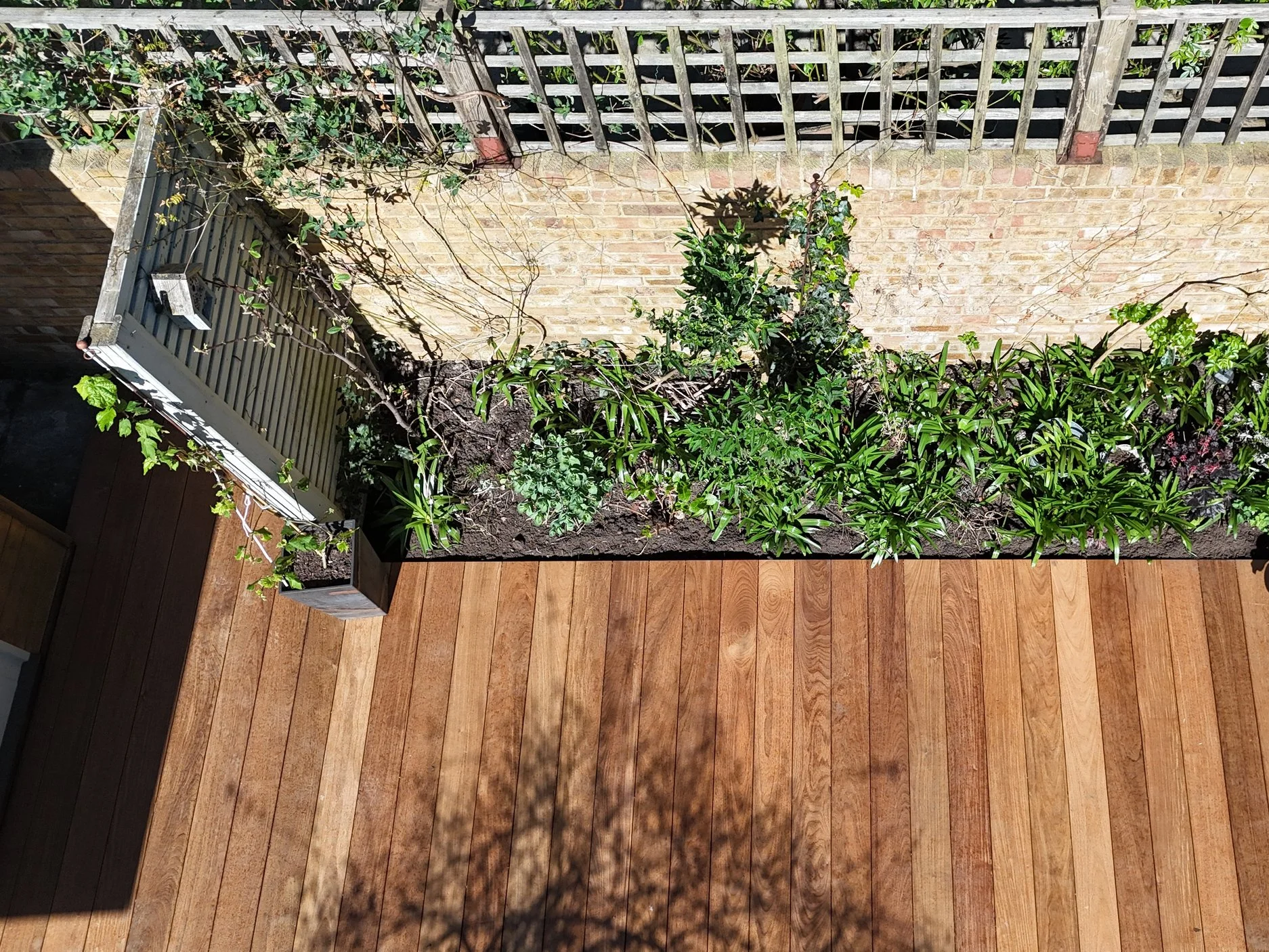 Hardwood Decking in Chiswick London.png