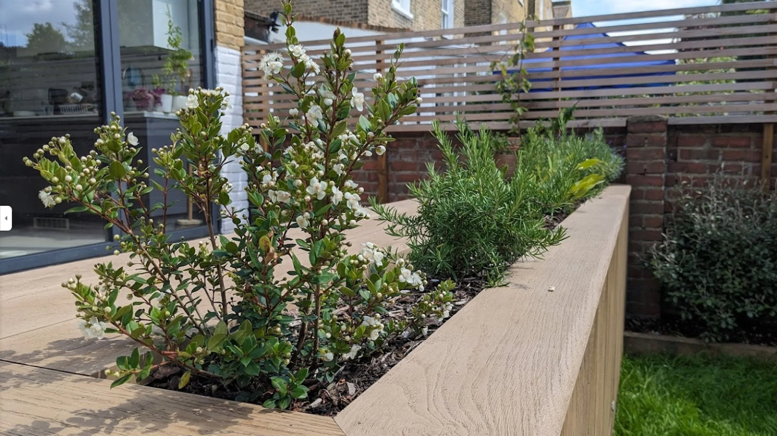 Decking, Bespoke Planters & Architectural Wall Finishes – London (18).jpg