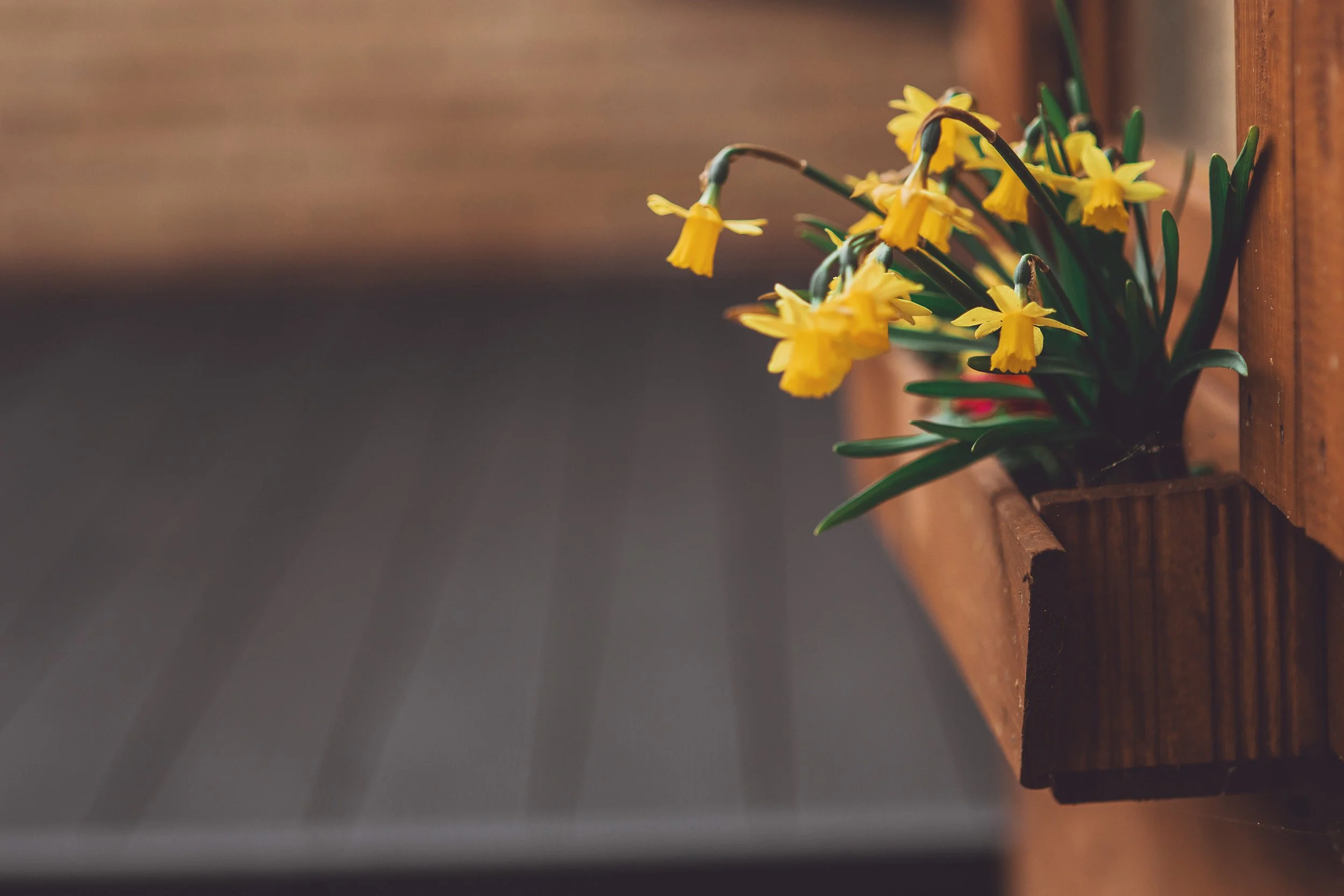 Composite Decking in London.jpg