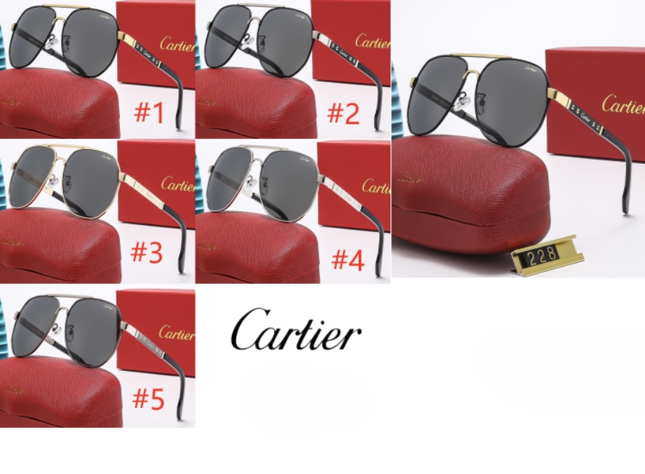 CARTY SUNGLASSES
