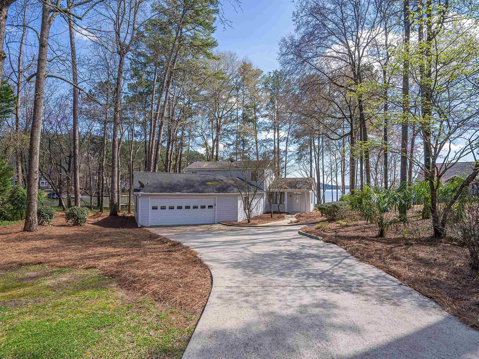 Dogwood Delight