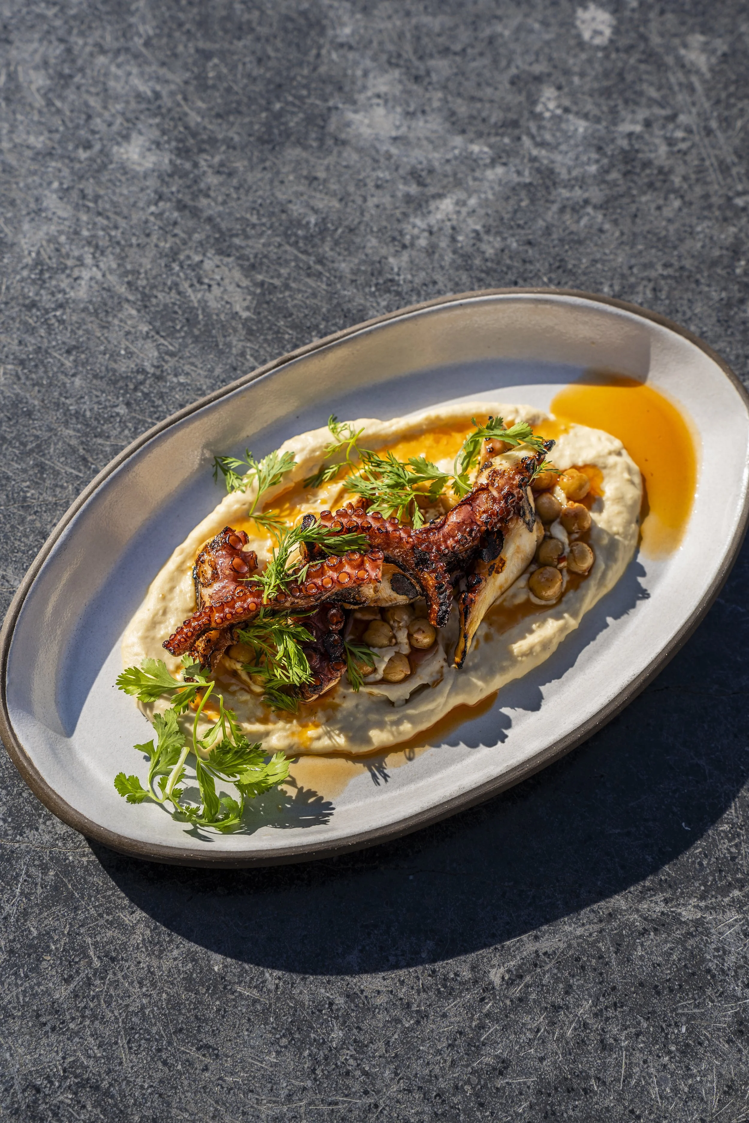 Grilled octopus tentacle on a bed of creamy hummus, garnished with fresh cilantro and preserved lemon slices, served on a gray ceramic platter with a drizzle of olive oil.