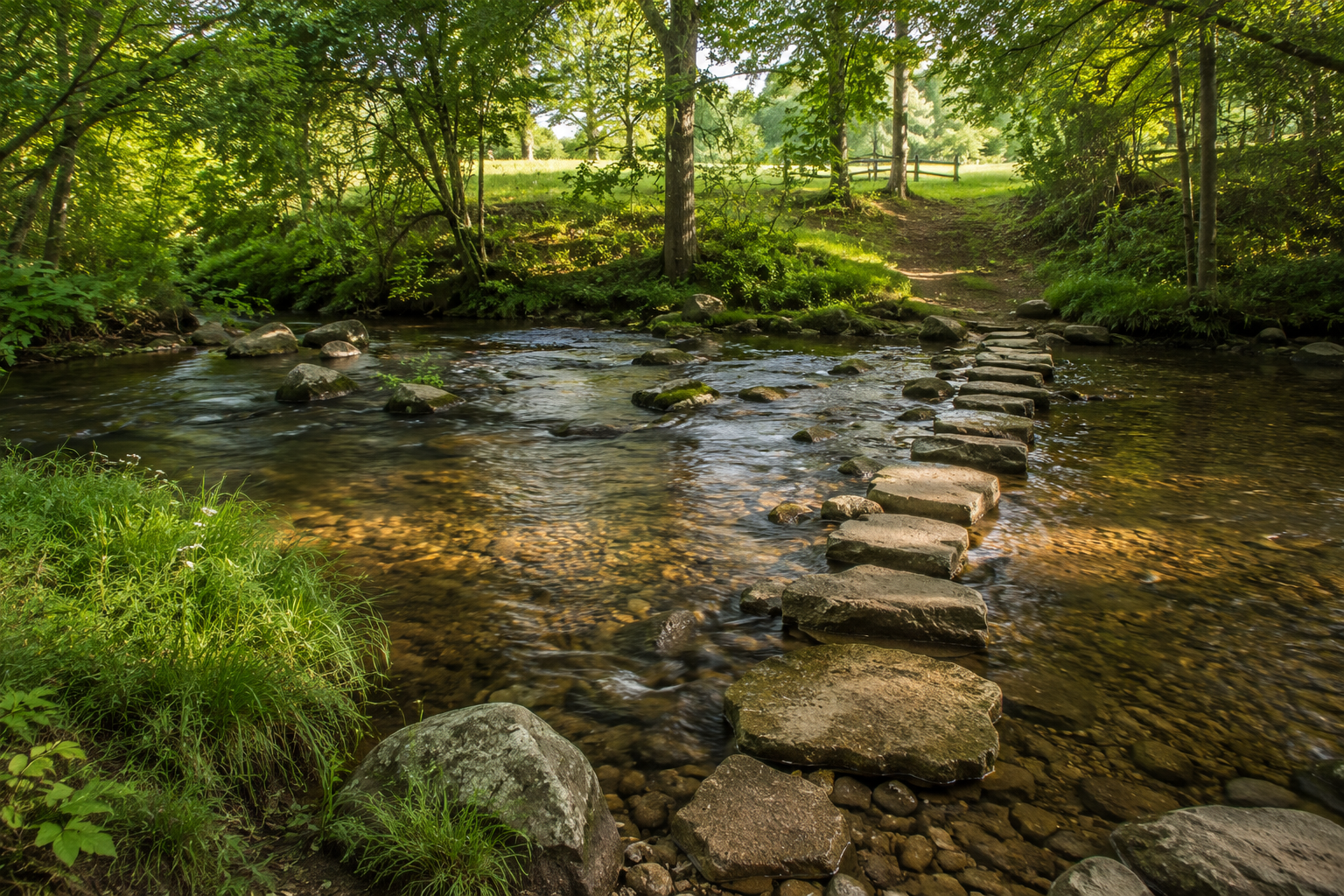 Peaceful forest creek with stepping stones reflecting the thoughtful journey of building Heritage Schnauzers.