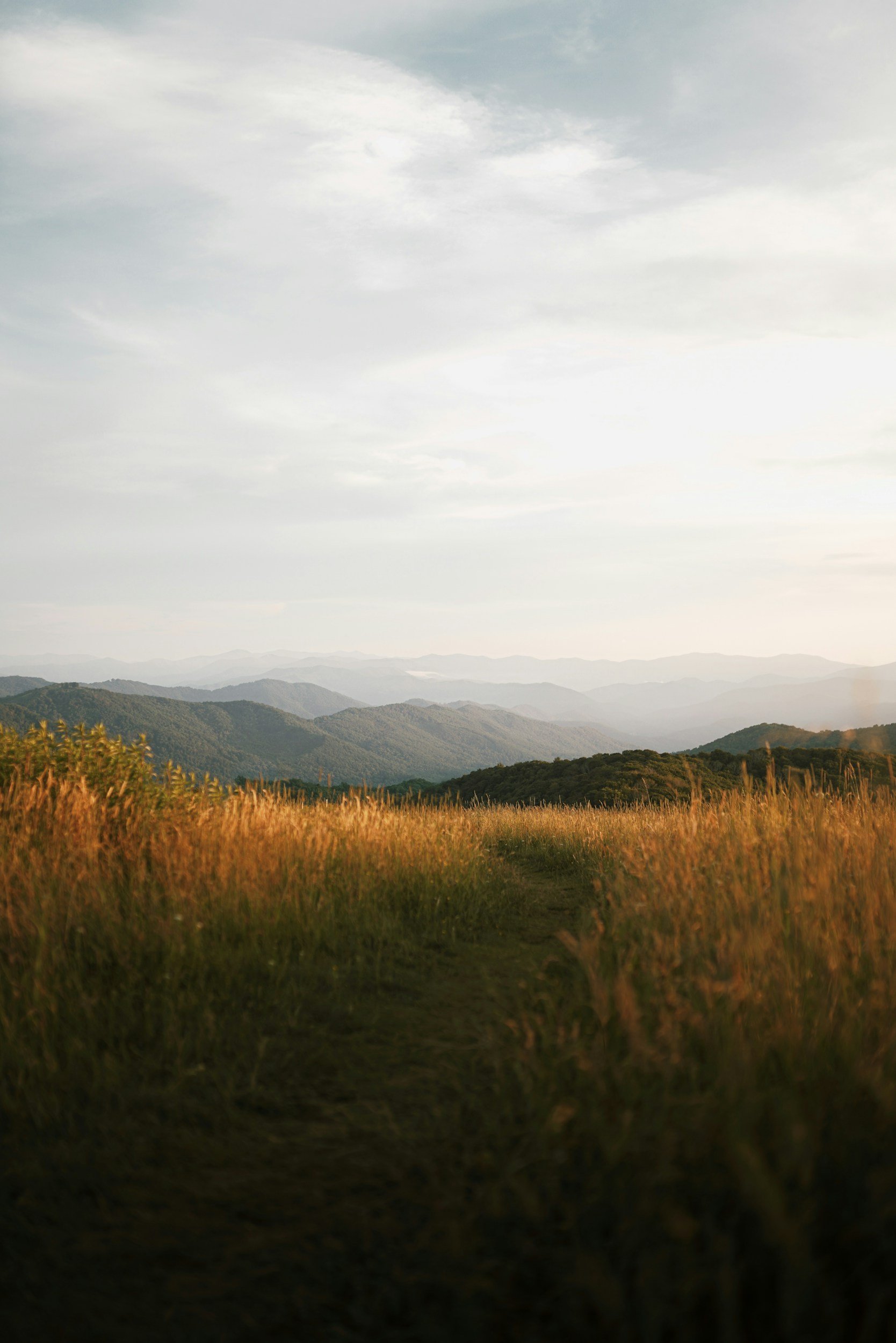 A scenic landscape with a field of tall grass in the foreground, rolling hills in the middle distance, and a cloudy sky overhead.
