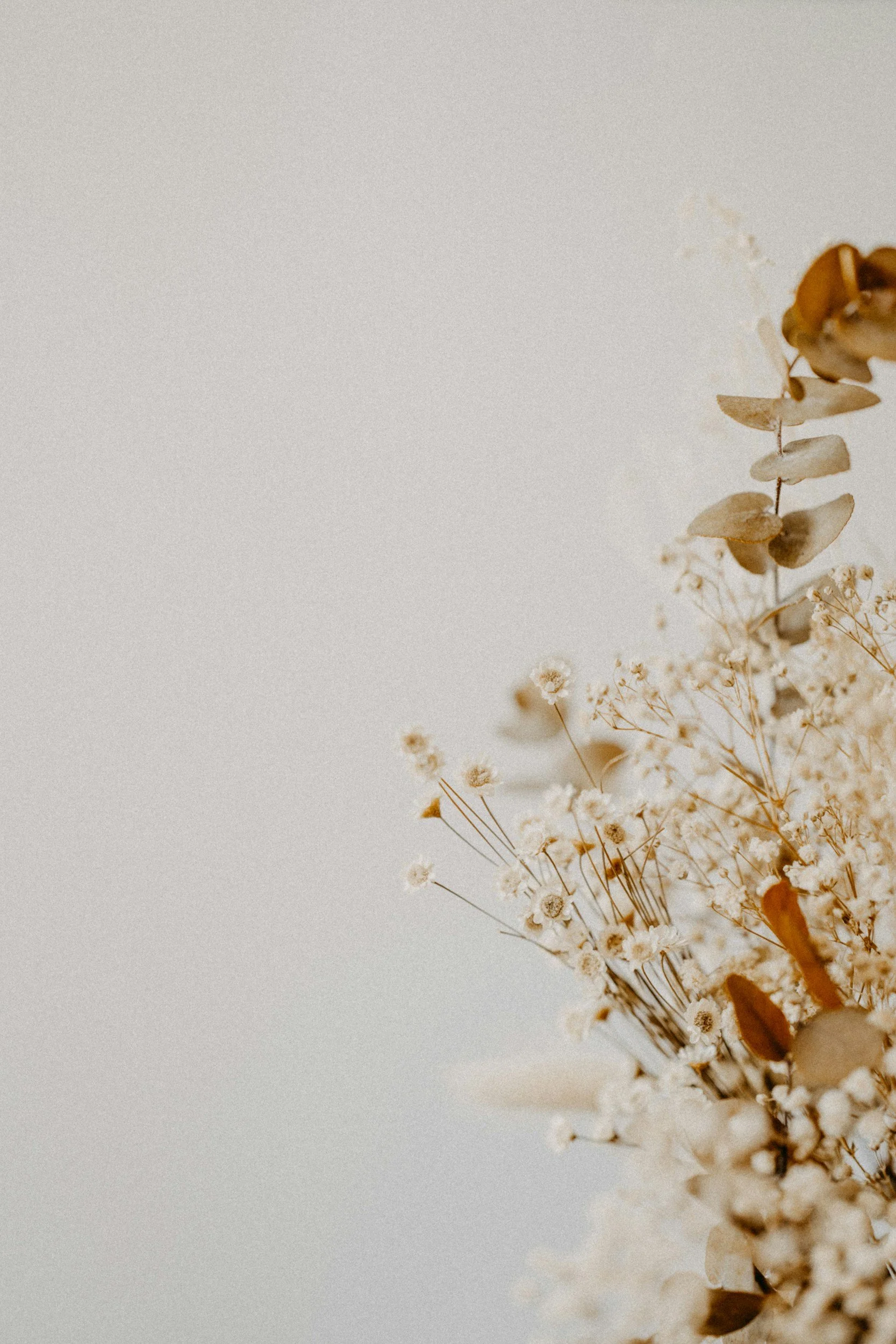 A bouquet of dried beige and white flowers against a neutral background.