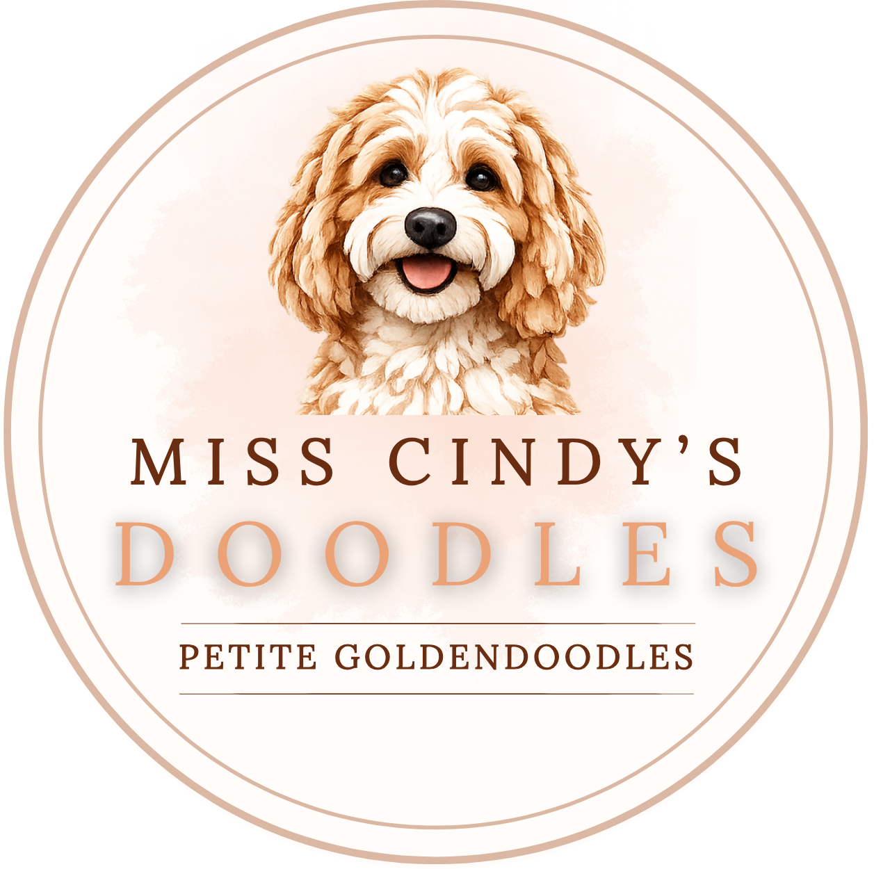     Miss Cindy's Doodles