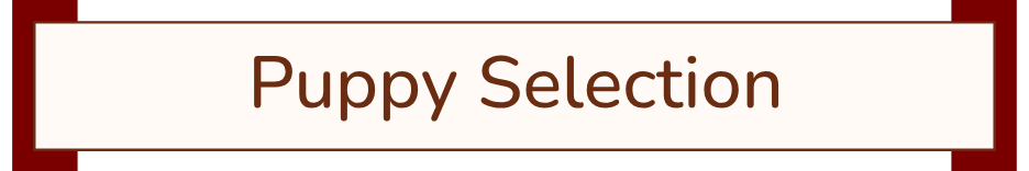 Sign reading "Puppy Selection."