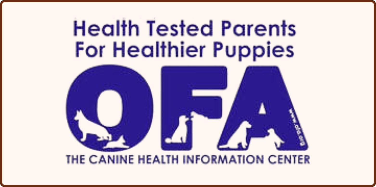 Orthopedic Foundation for Animals