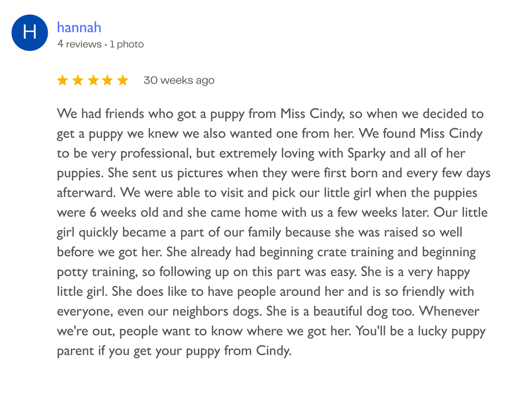 5-star review of a puppy from Miss Cindy, describing the puppy's personality, training, and family integration.
