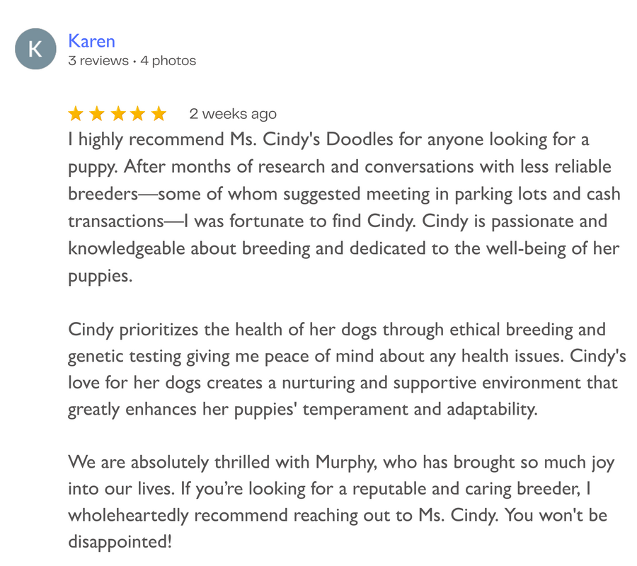 Screenshot of a five-star review for Ms. Cindy's Doodles, praising her for breeding healthy, well-cared-for puppies and her ethical practices.