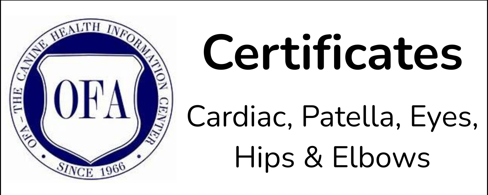 Bentley OFA Health Certifications