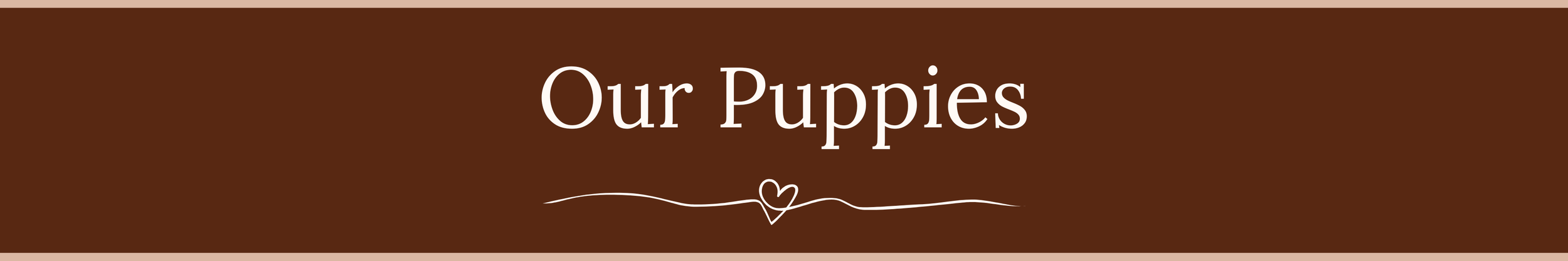Text that reads 'Our Puppies' on a brown background with a small decorative heart and line underneath.