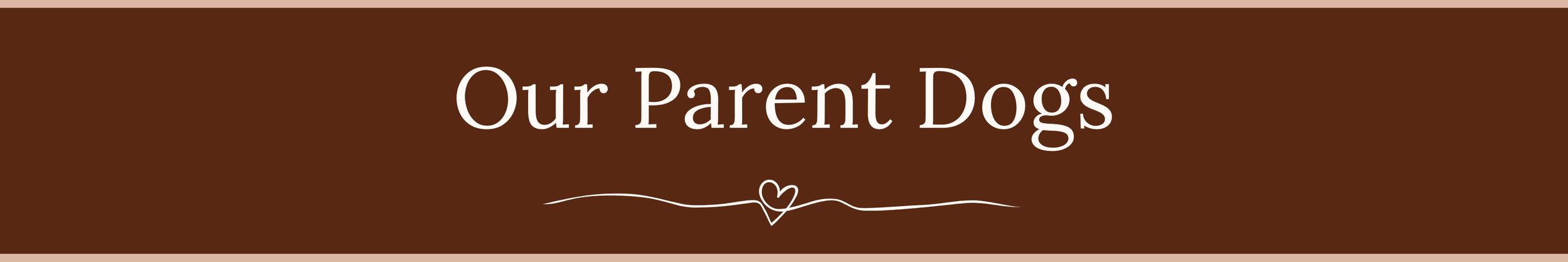 Text reading 'Our Parent Dogs' on a brown background with a decorative line and heart design.