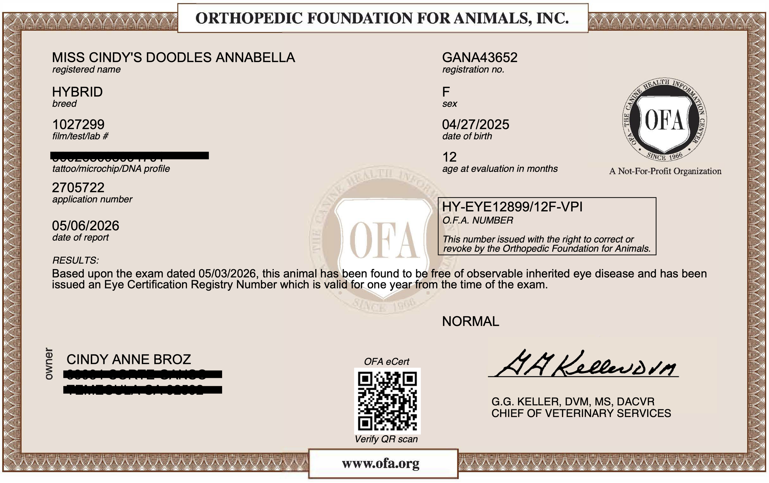 Annabella CAER Eye Examination Certificate
