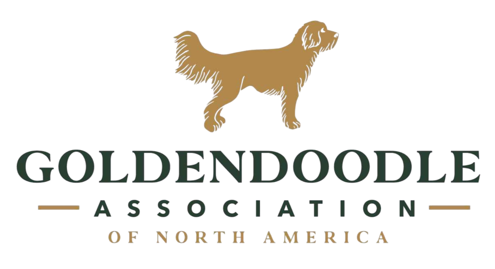 Logo of the Golden Doodle Association of North America, depicting a golden doodle dog with curly fur above the text 'GOLDENDOODLE' and 'ASSOCIATION OF NORTH AMERICA' beneath.