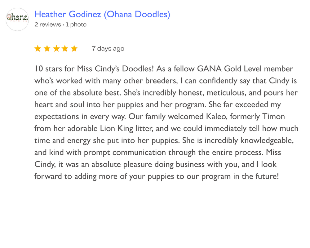 Five-star Google review from Heather Godinez (Ohana Doodles), praising Miss Cindy's Doodles'  puppy breeding services and describing a positive experience working with her.
