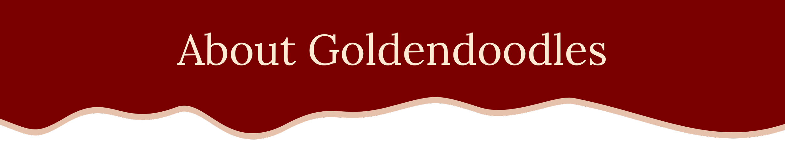 Text on a red background reads 'About Goldendoodles'