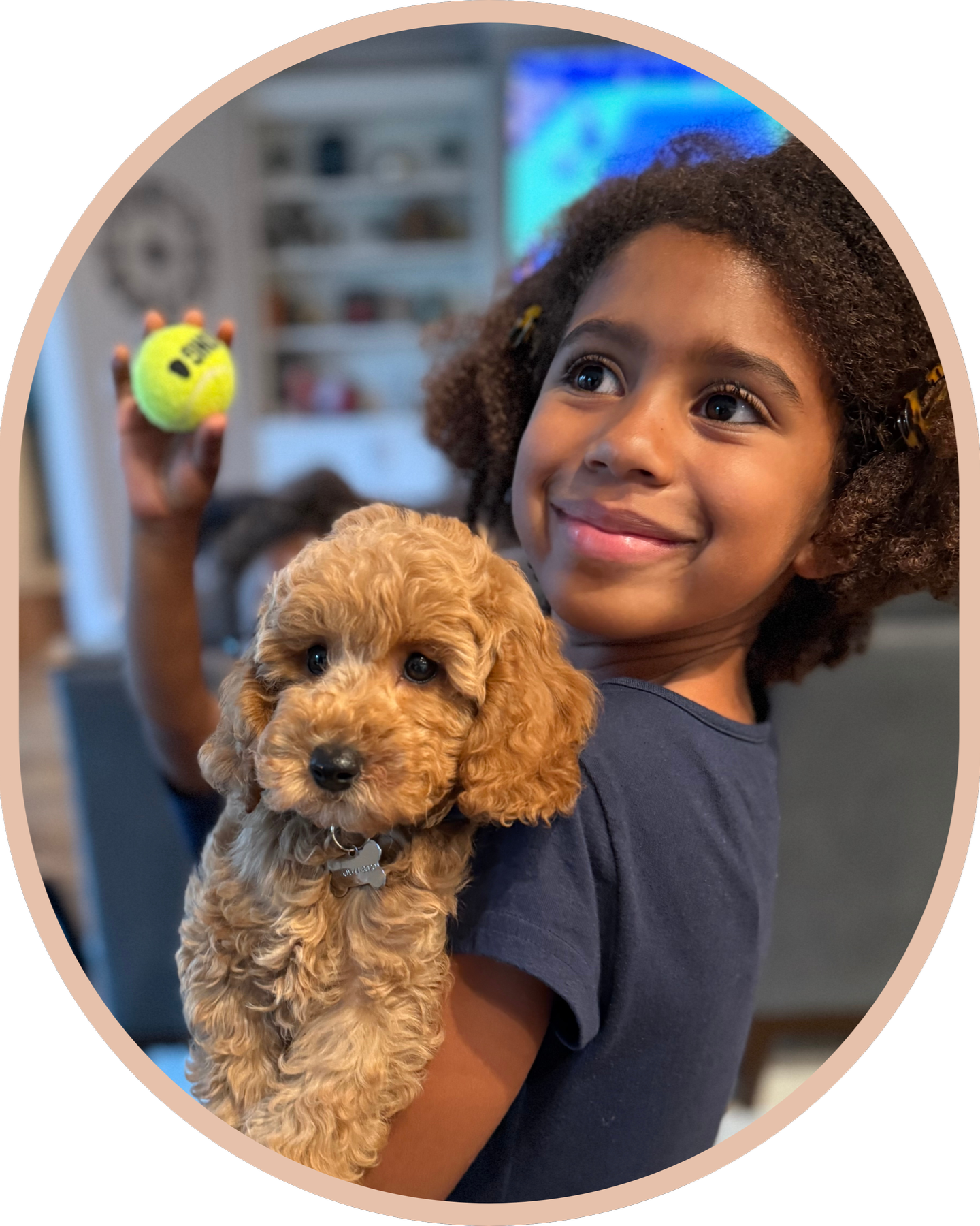 Goldendoodle Puppy with Little Girl