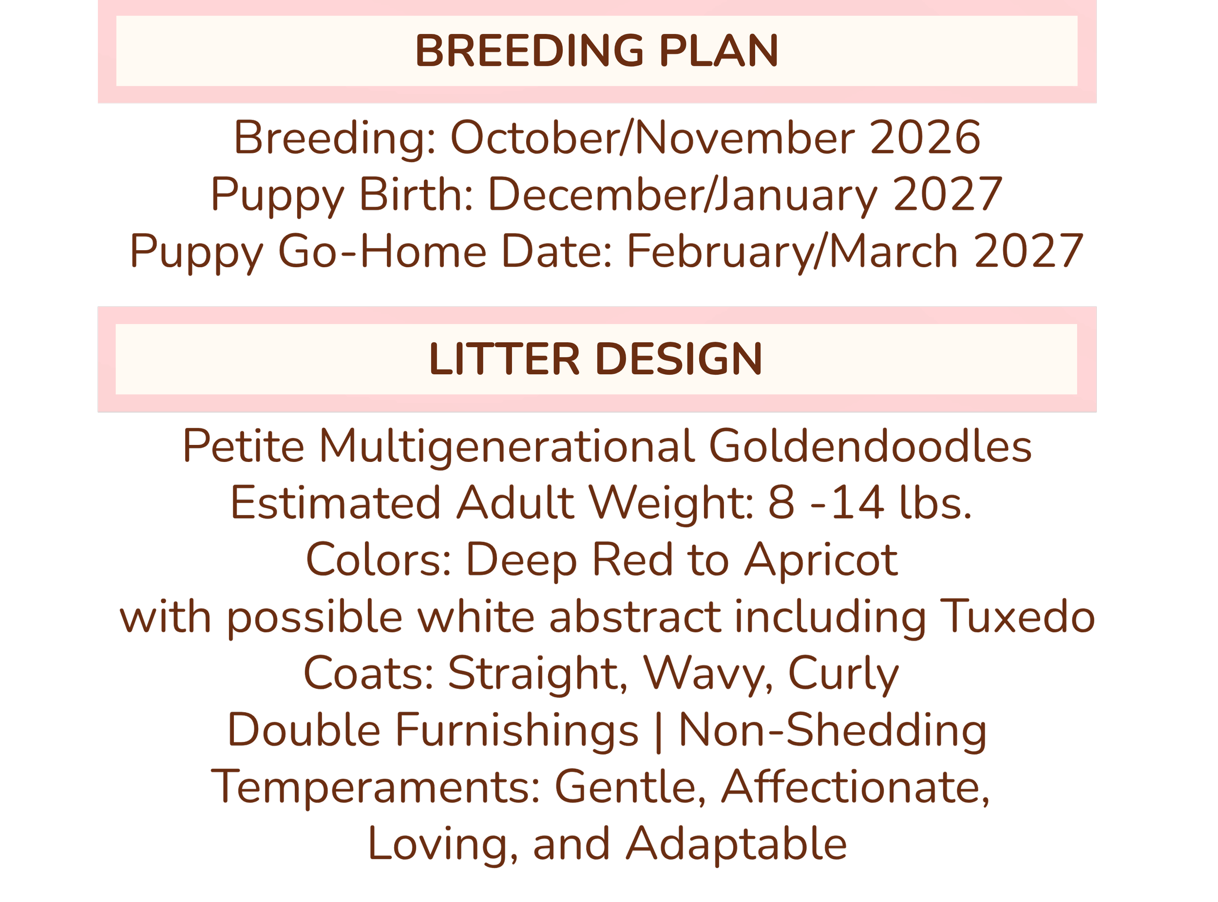 Breeding plan and litter design for a pet dog breed, including details about breeding dates, puppy weight, coat types, temperament, and specific dog characteristics.