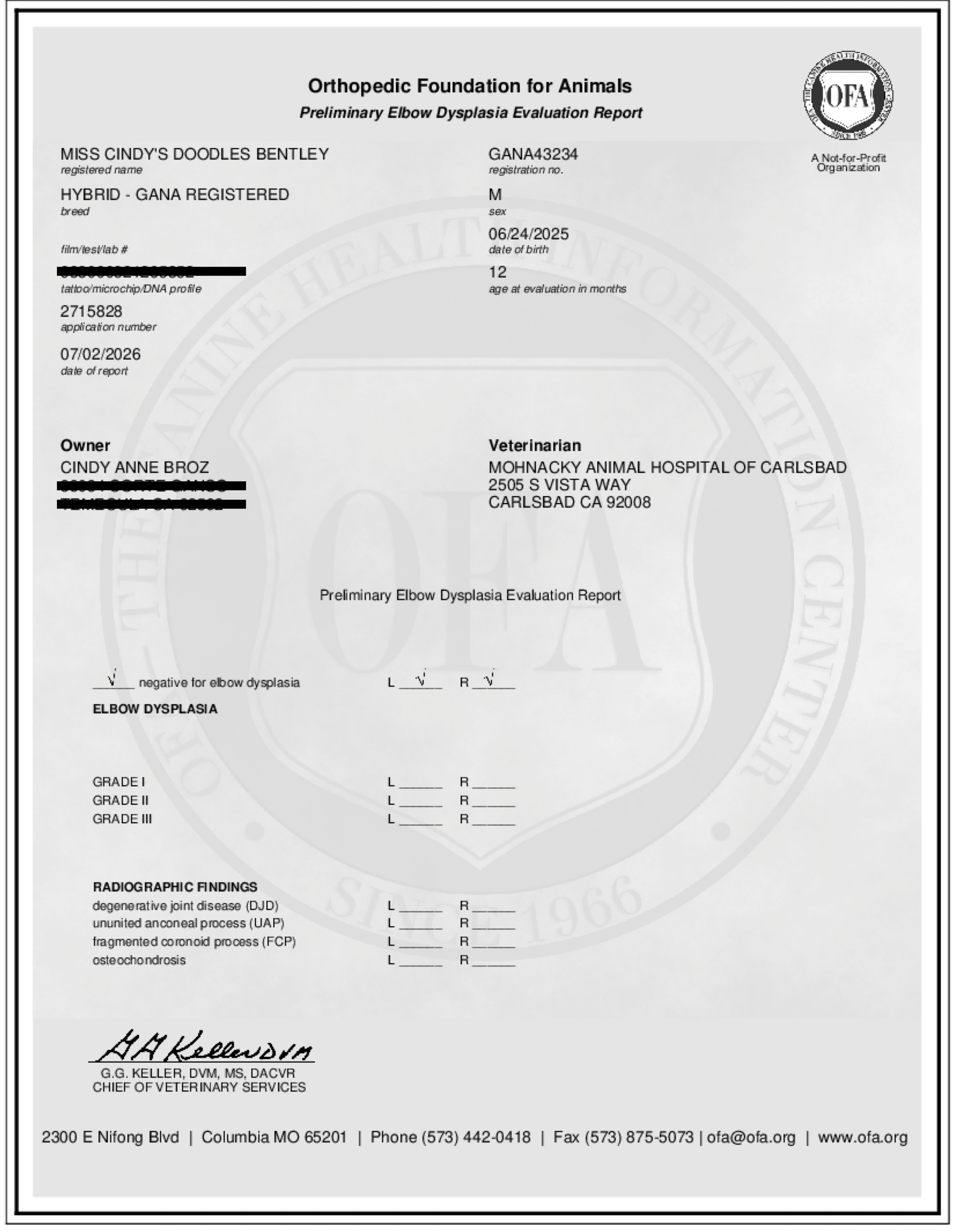 Bentley OFA Elbow Evaluation