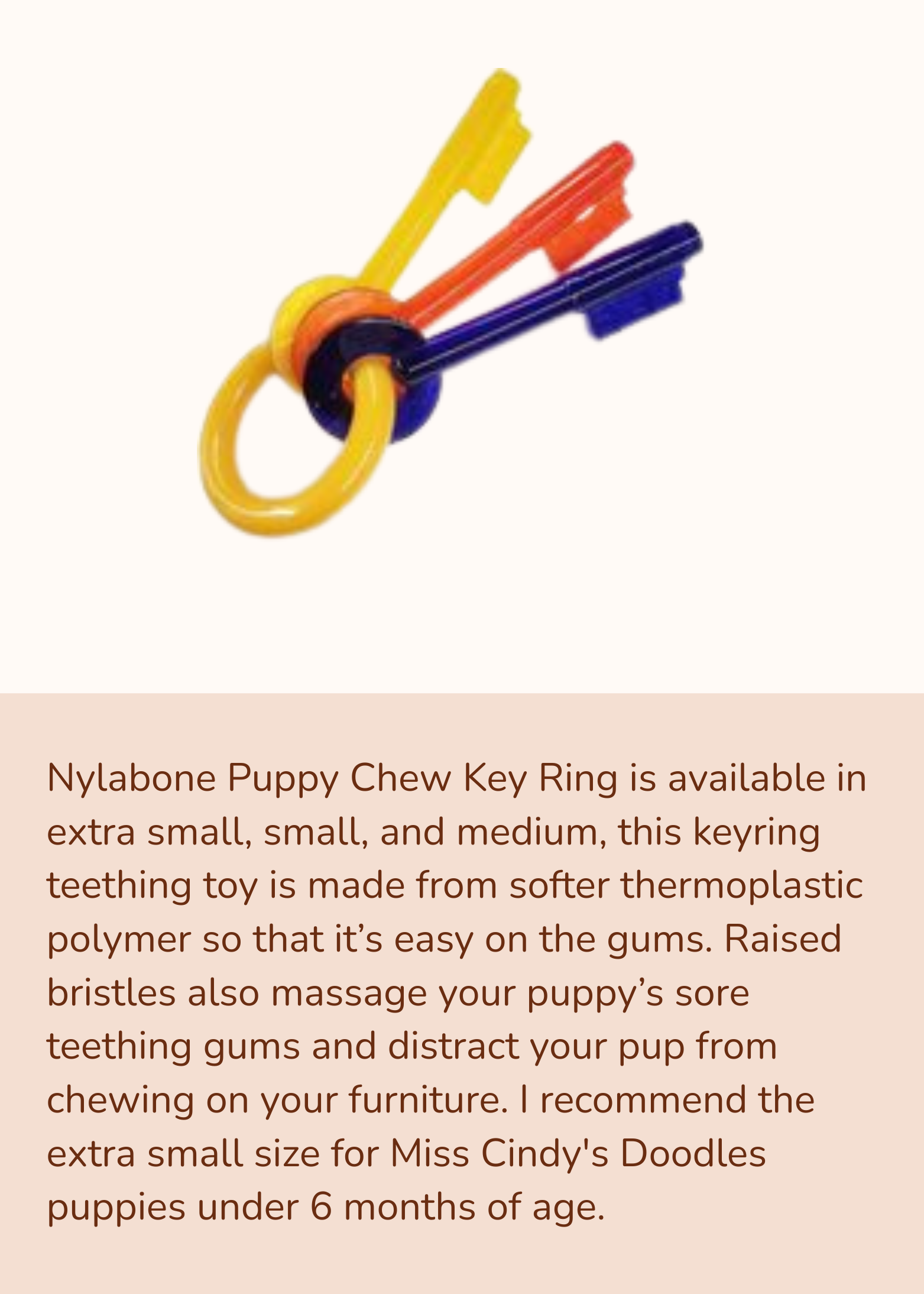 Puppy Nylabone Puppy Chew Toy