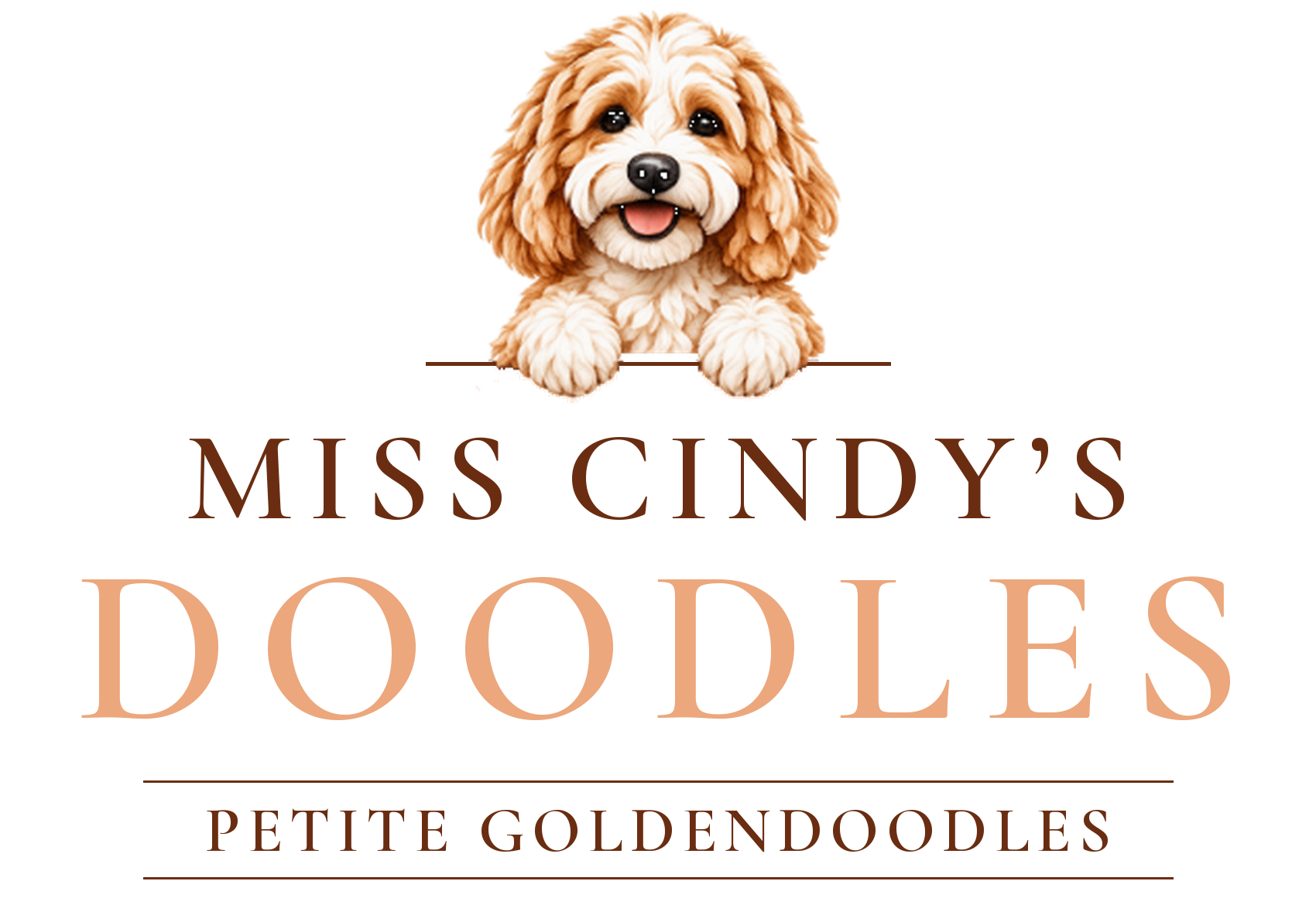 Miss Cindy's Doodles — Petite Goldendoodles