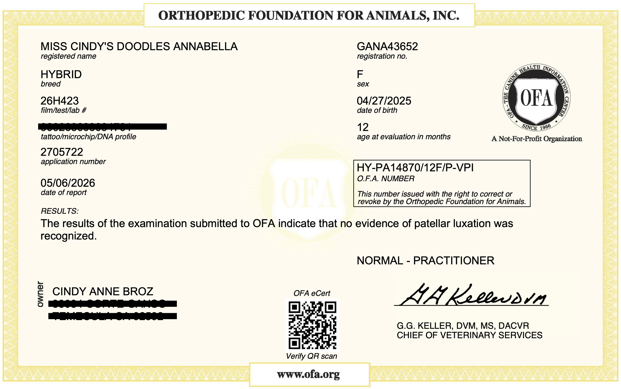 Annabella OFA Patella Certificate